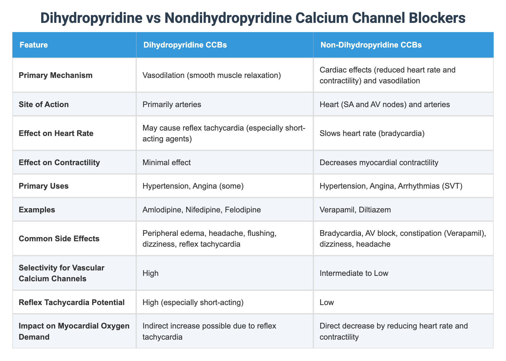 Non Dihydropyridine Calcium Channel Blockers
