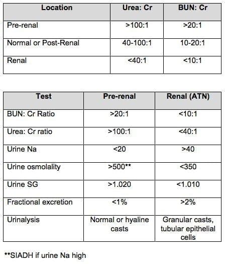 Normal Urine Creatinine Levels
