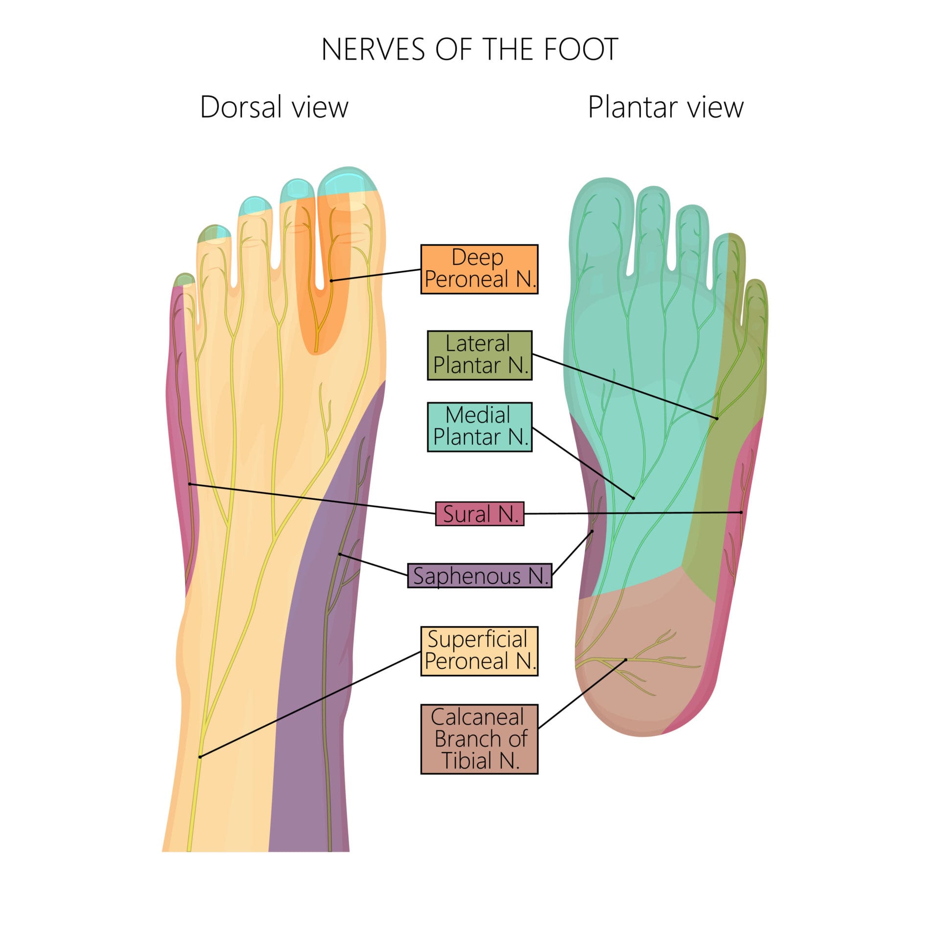 Numbness In Bottom Of Feet