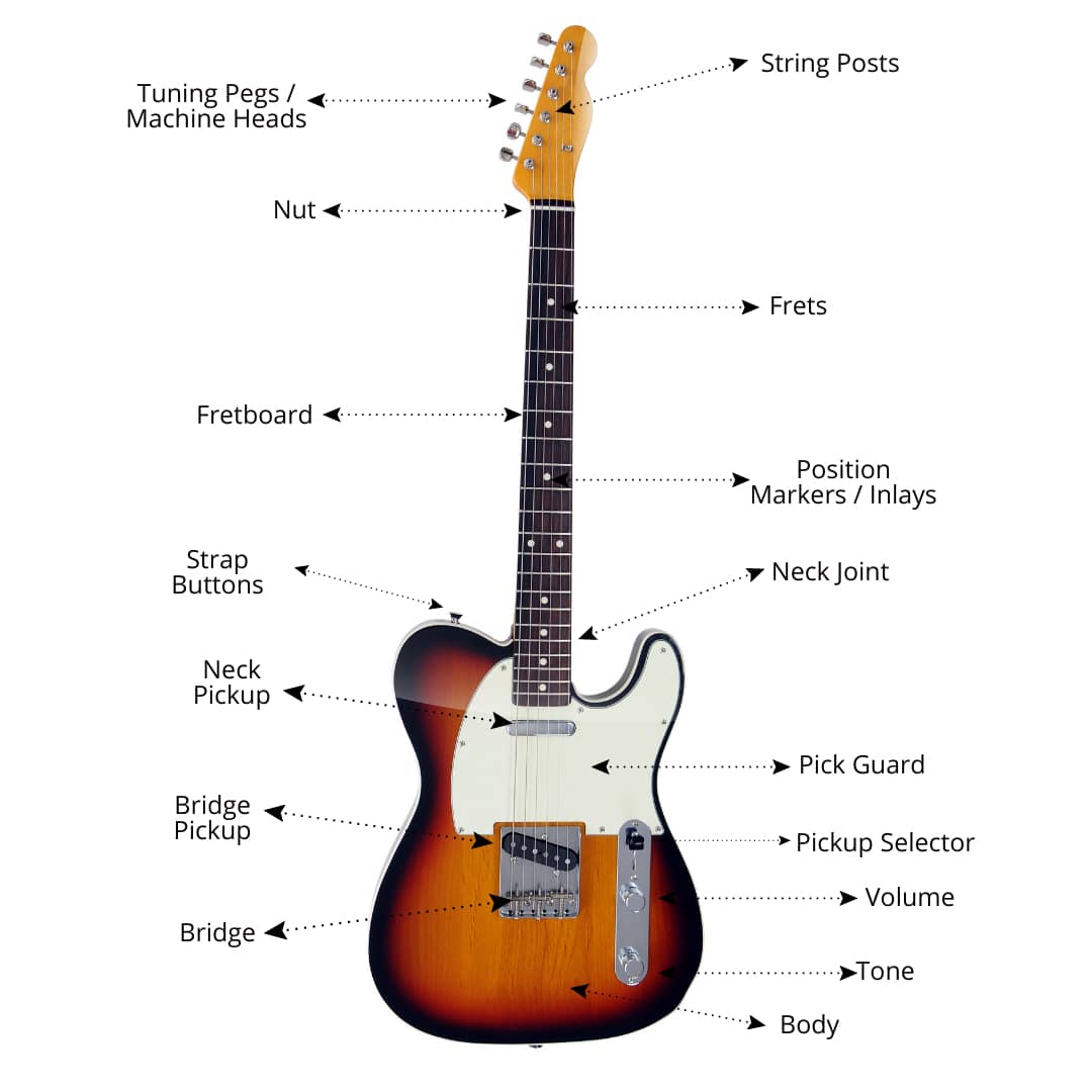 Parts Of Guitar