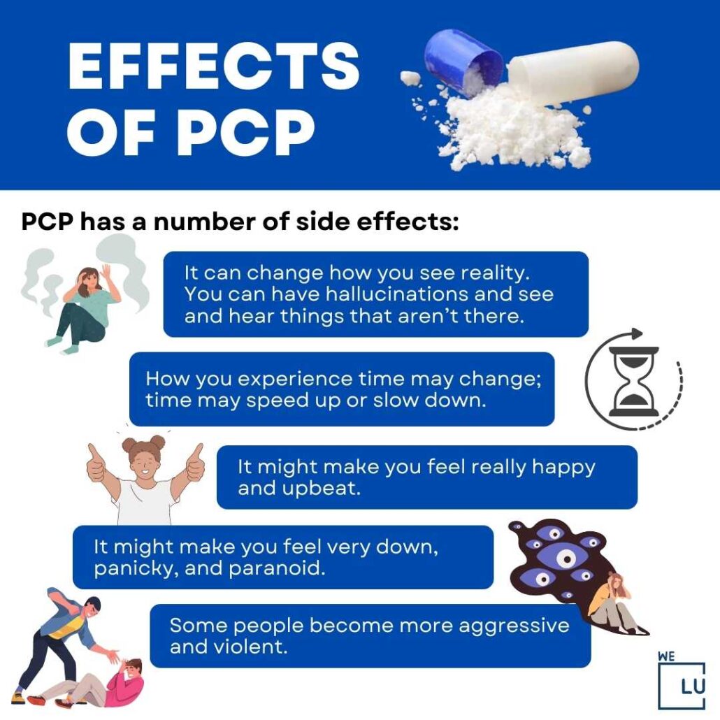 Pcp Meaning In Medical