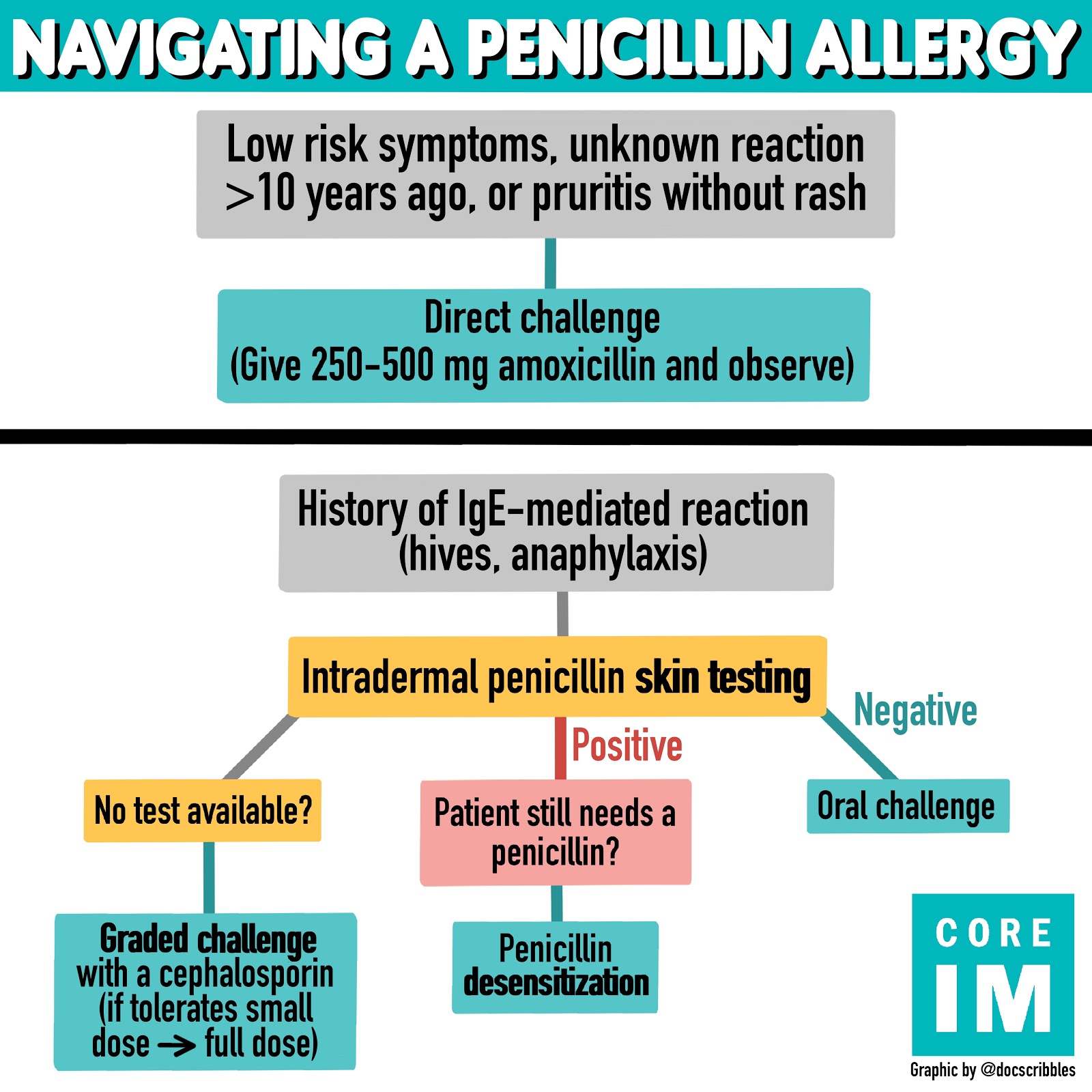 Penicillin Allergy Alternative Antibiotics