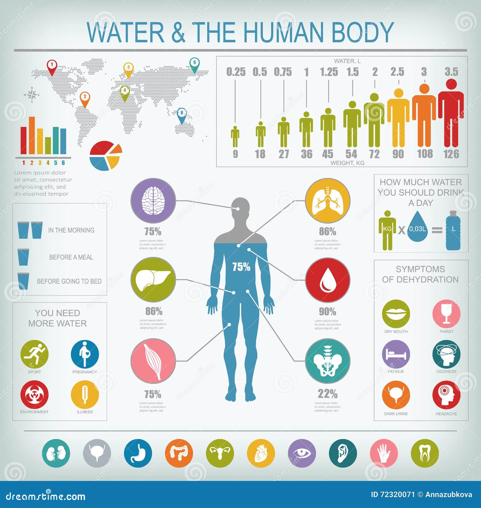 Percentage Of Water In Human Body