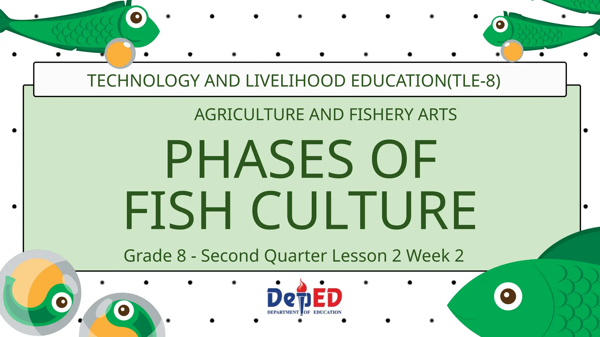 Phases Of Fish Culture