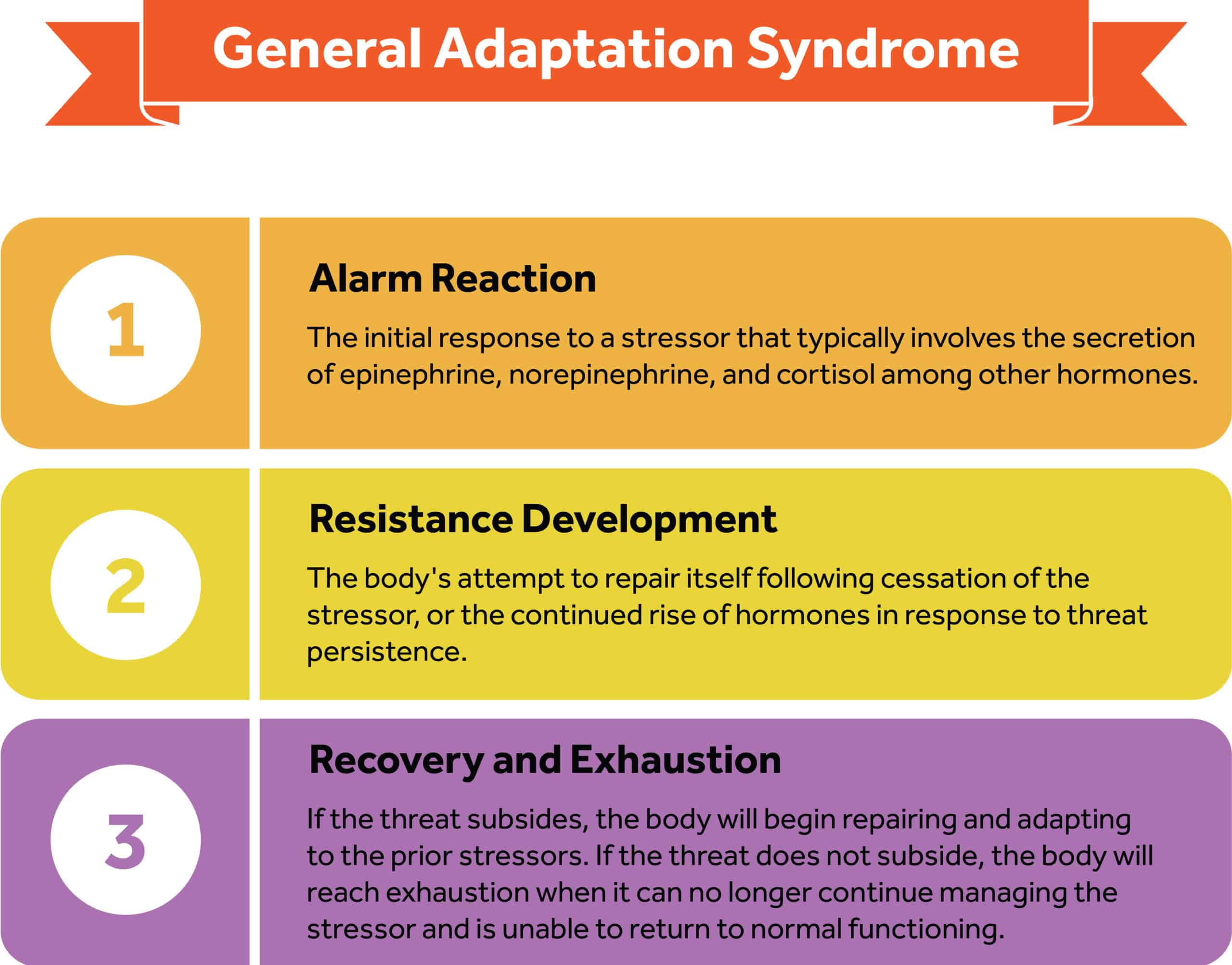 Phases Of General Adaptation Syndrome