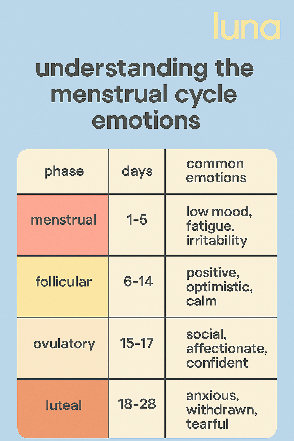 Phases Of Women's Cycle And Moods