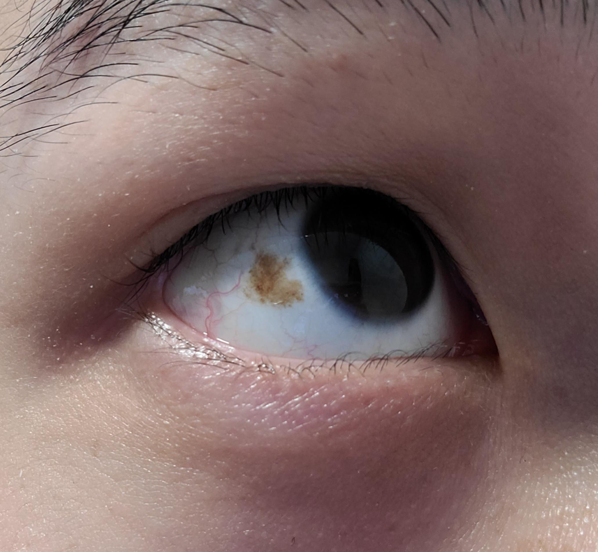 Pitbull Singer Nudes Sexc