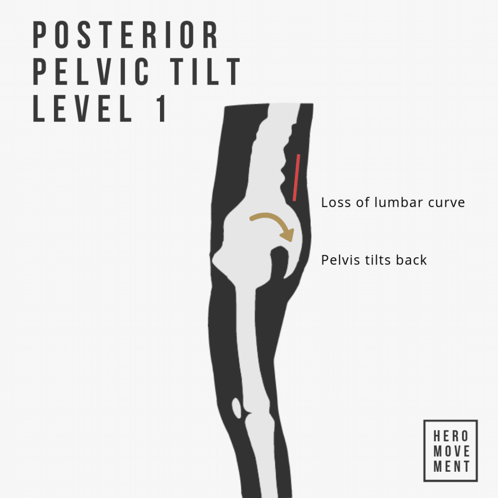 Posterior Pelvic Tilt