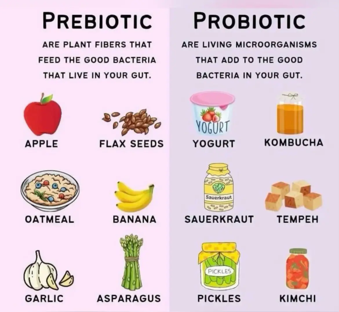 Prebiotic Vs Probiotic