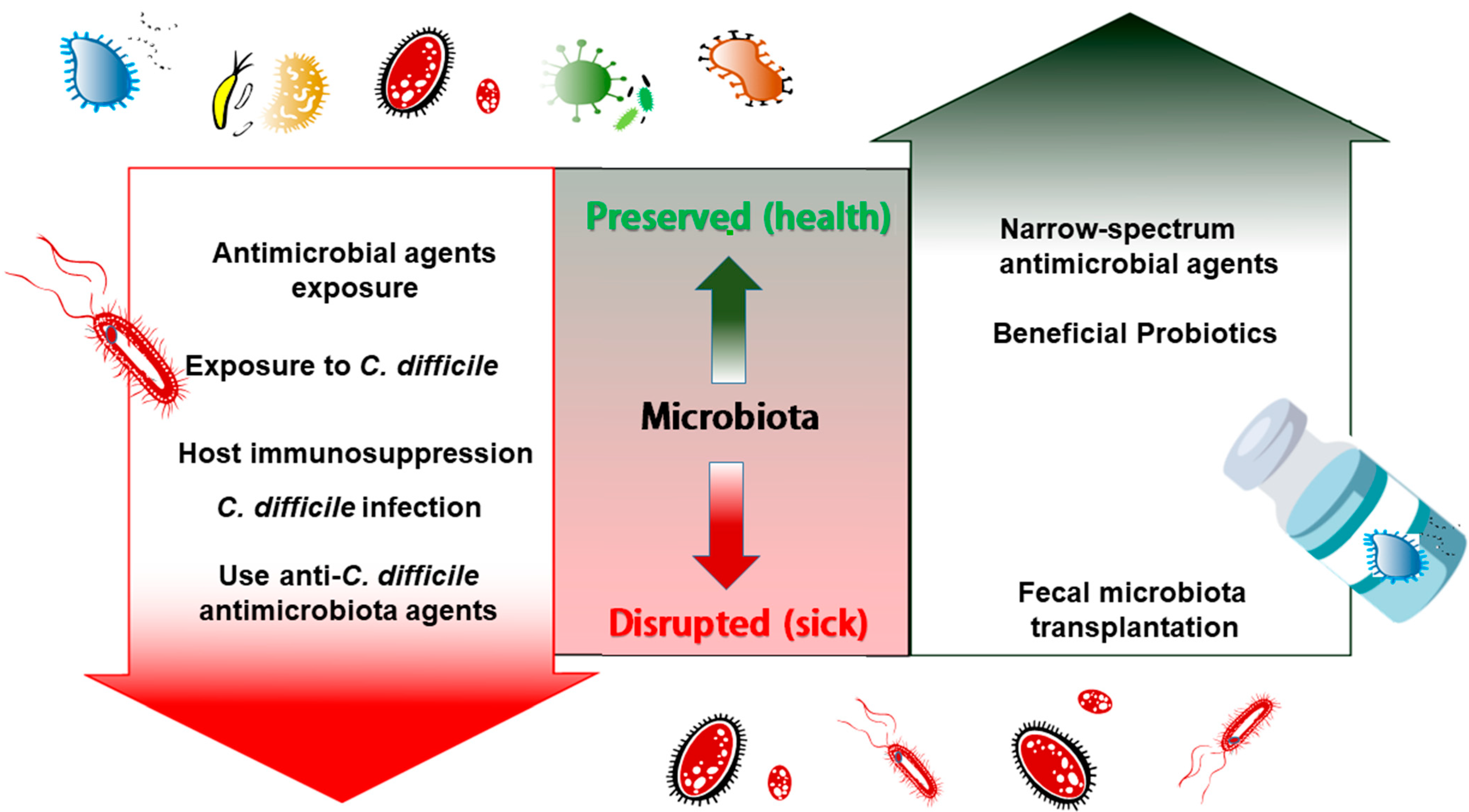 Probiotics And C Diff Infection