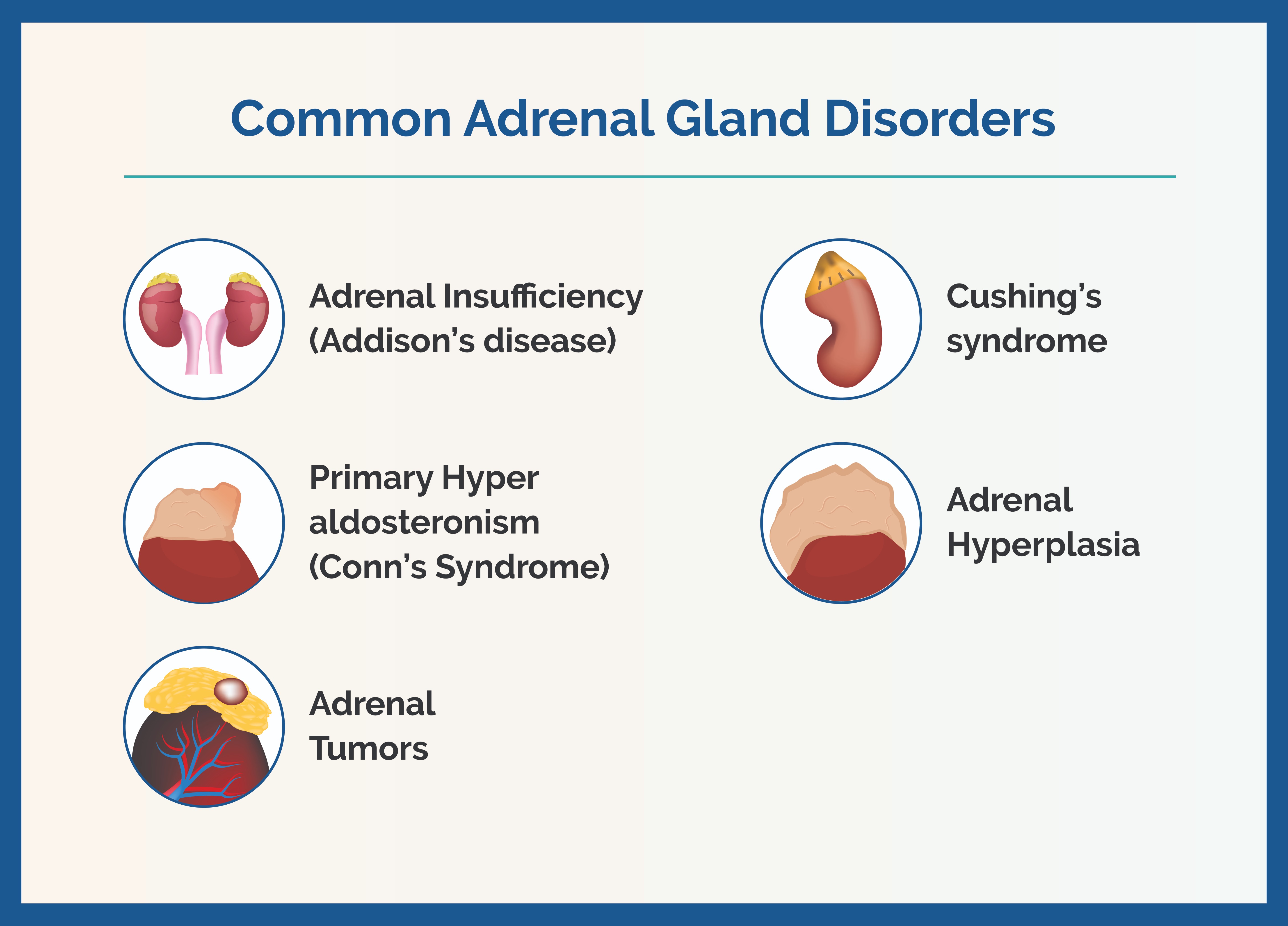 Problems With Adrenal Gland