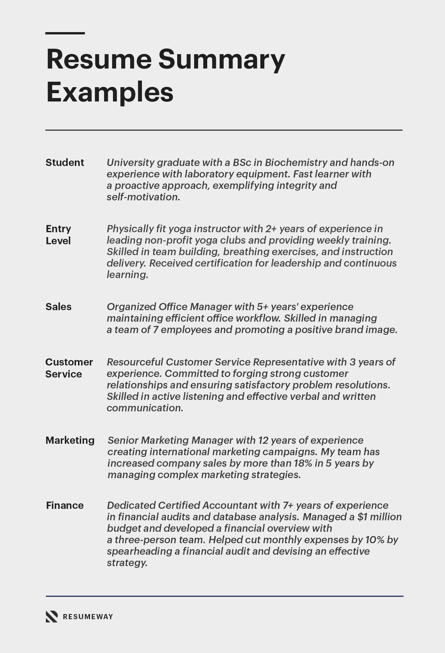 Professional Summary For Resume Examples