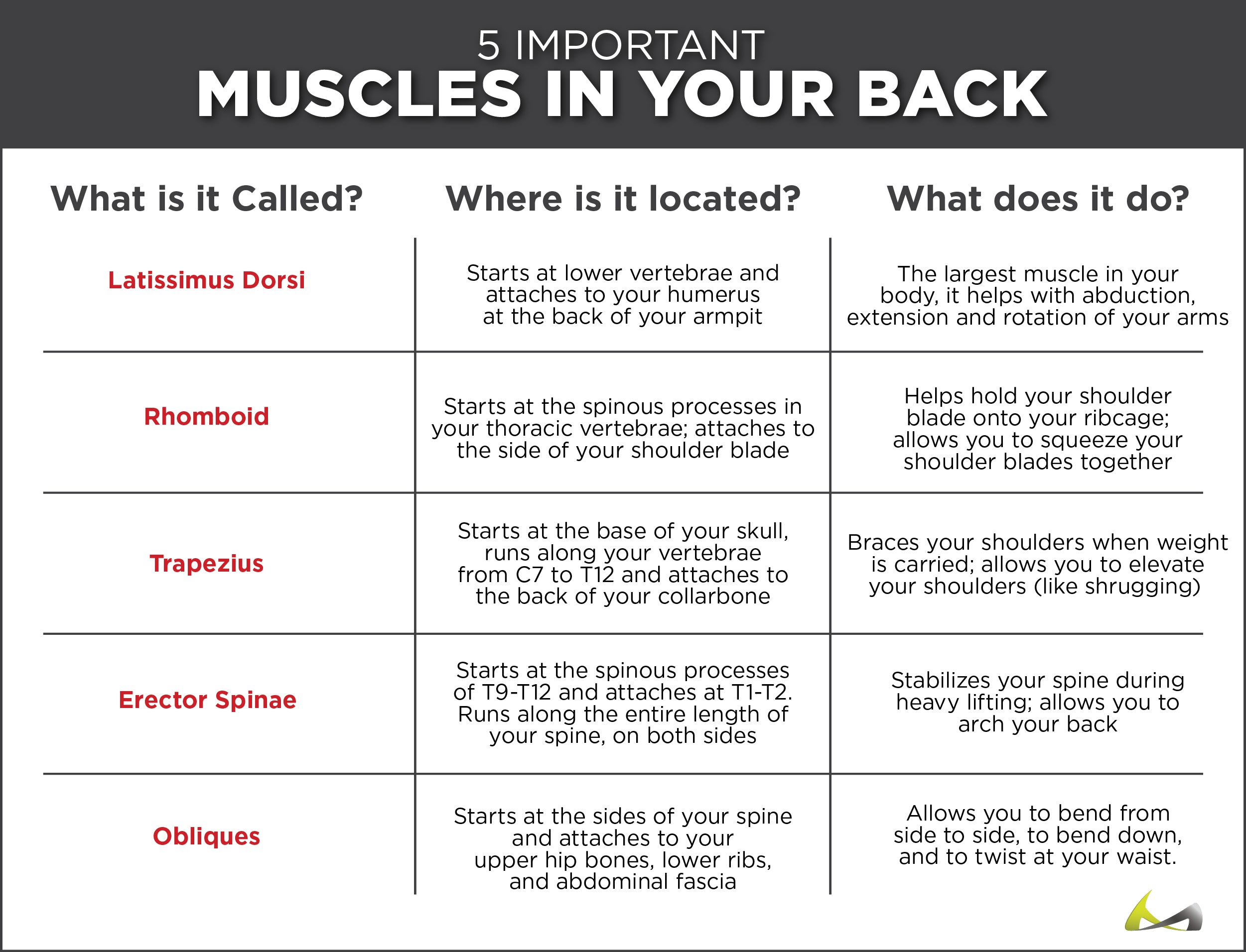 Pulled Back Muscle Symptoms