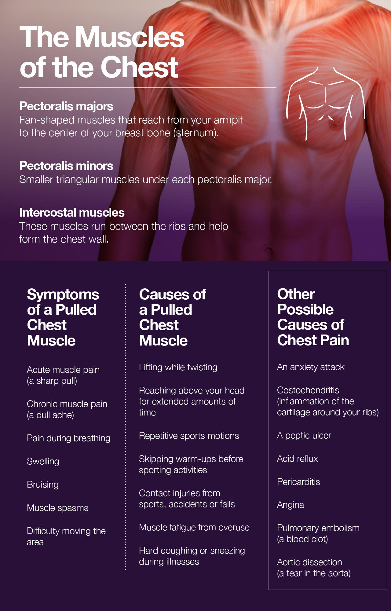 Pulled Muscle In Chest