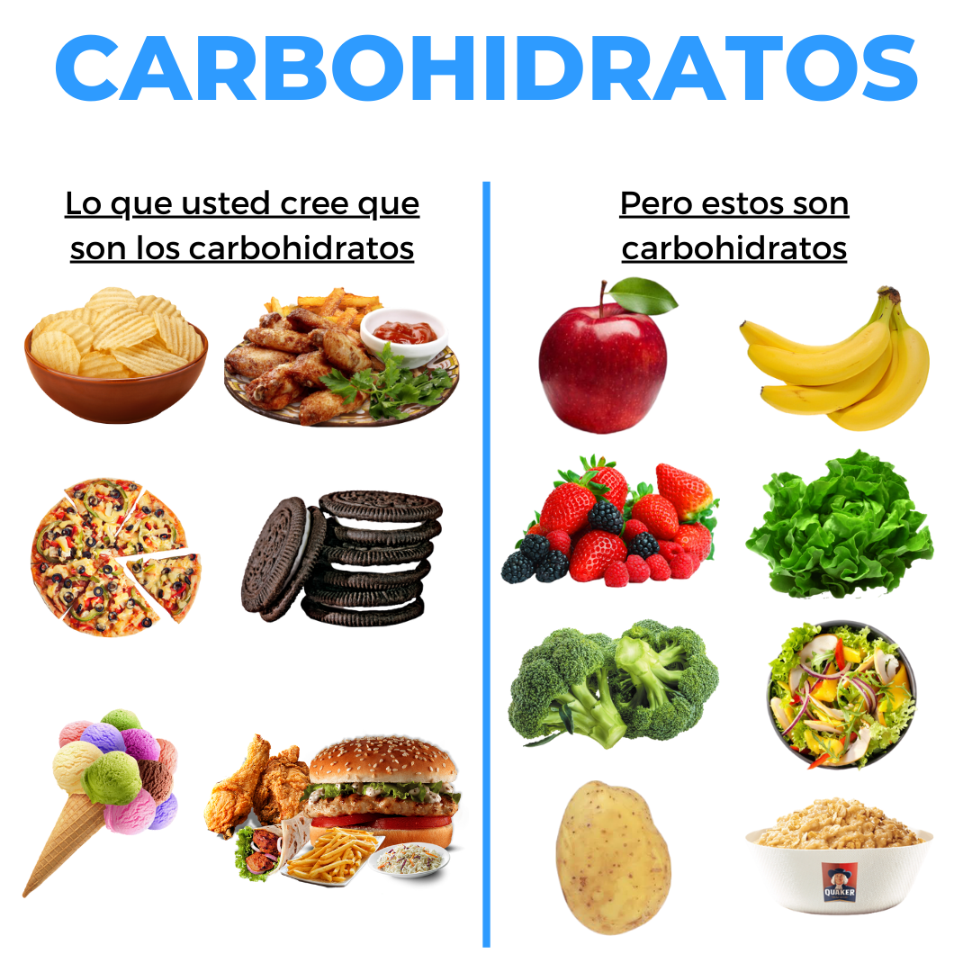 Que Son Carbohidratos