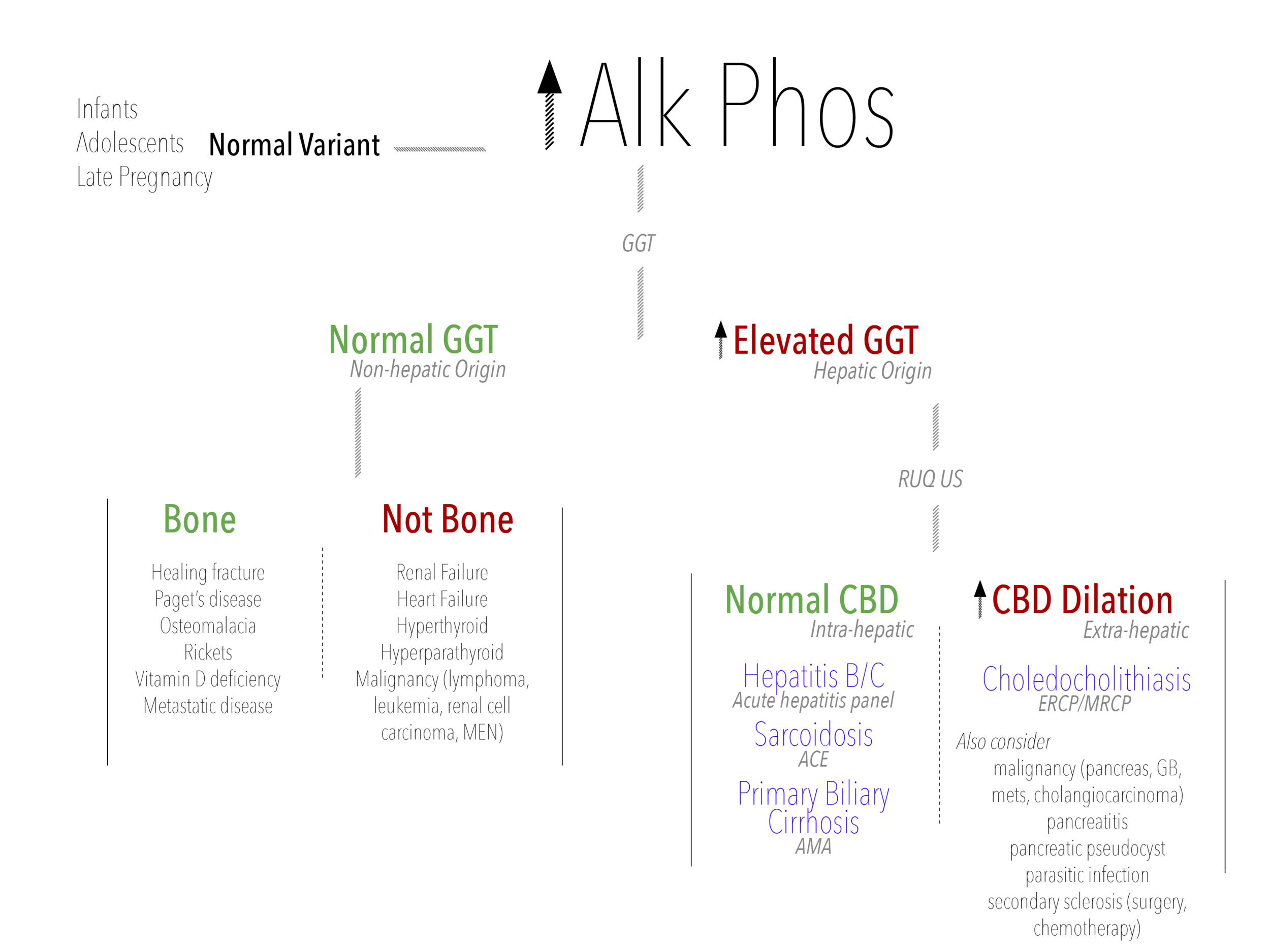 Raised Alk Phos In Pregnancy