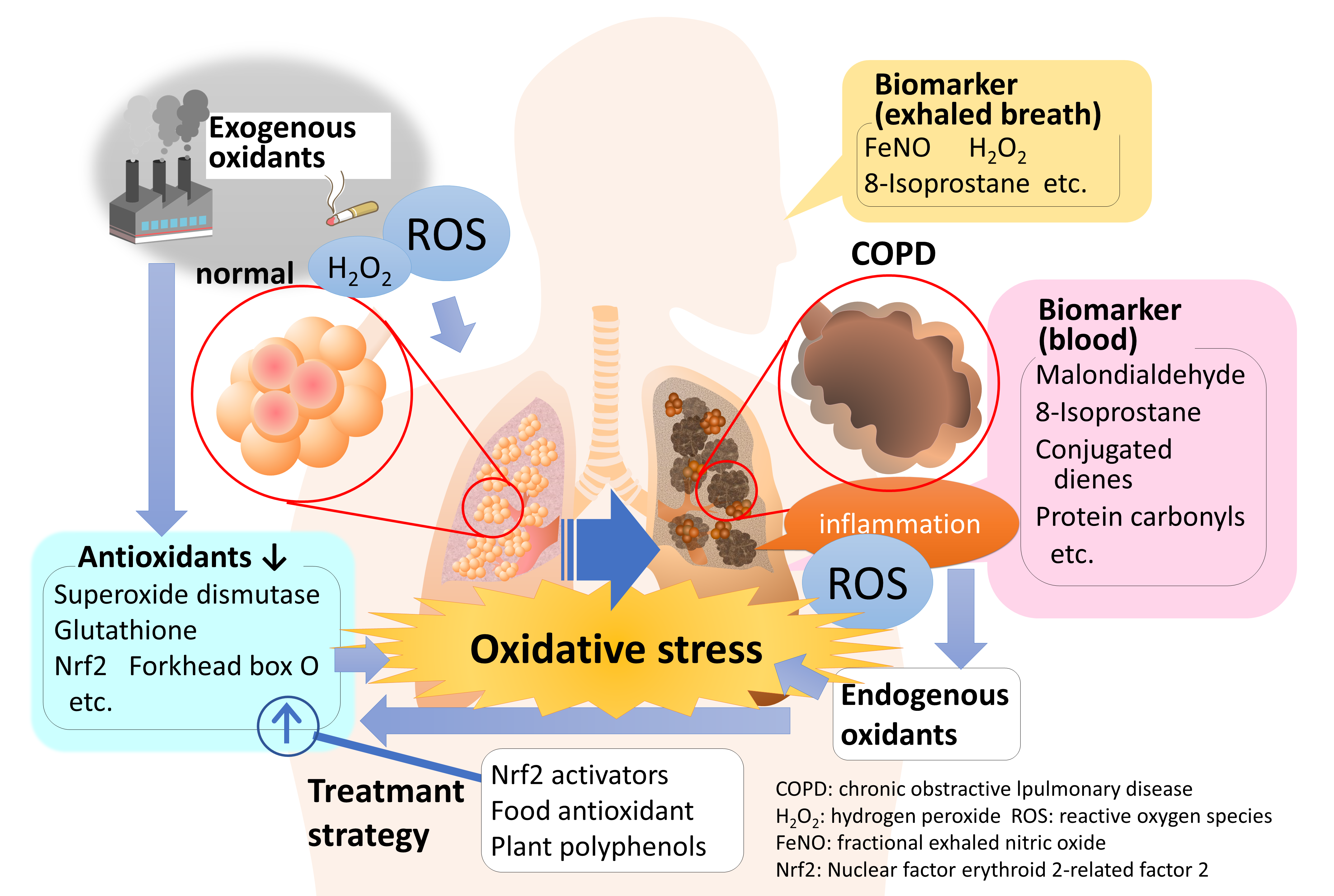 Respiratory Reactive Disease