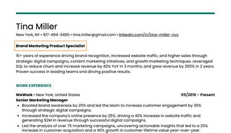 Resume Title Examples