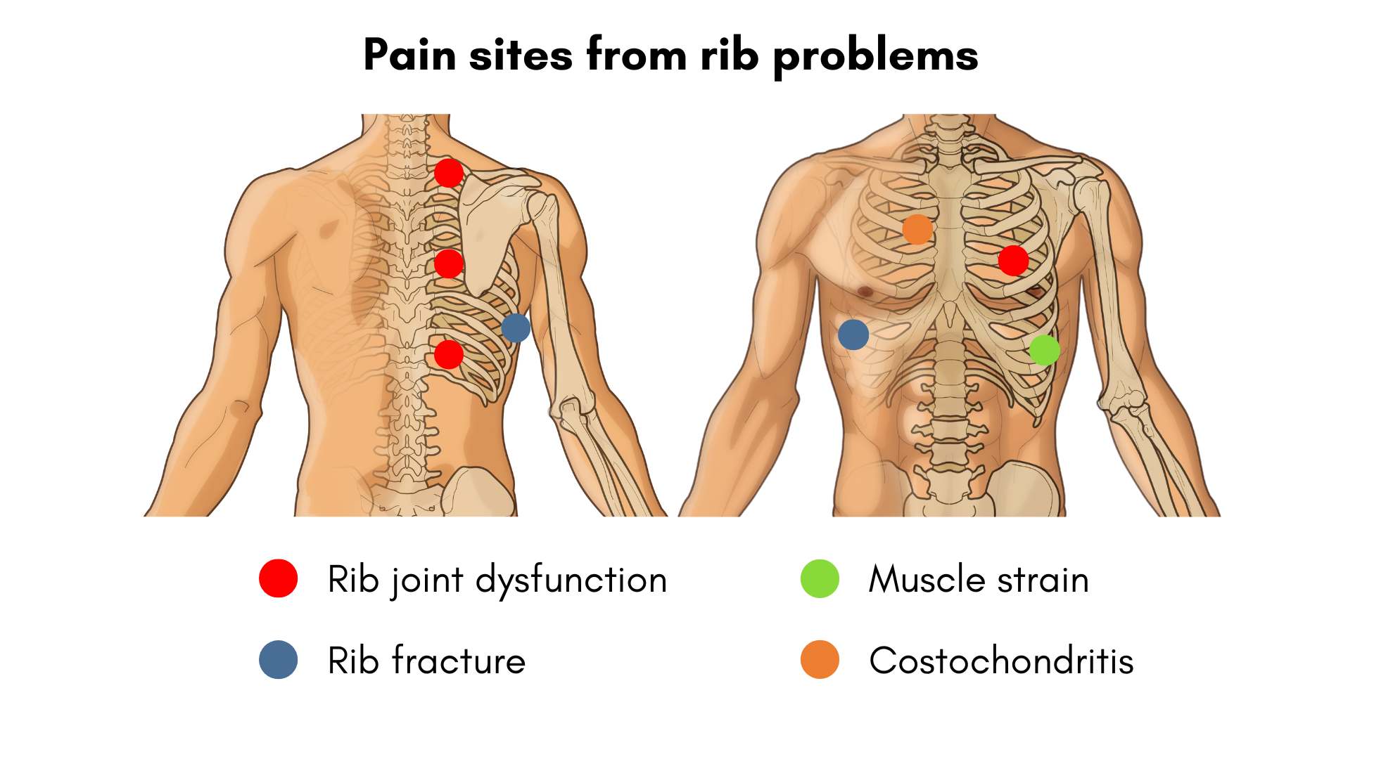 Rib Pain Sharp