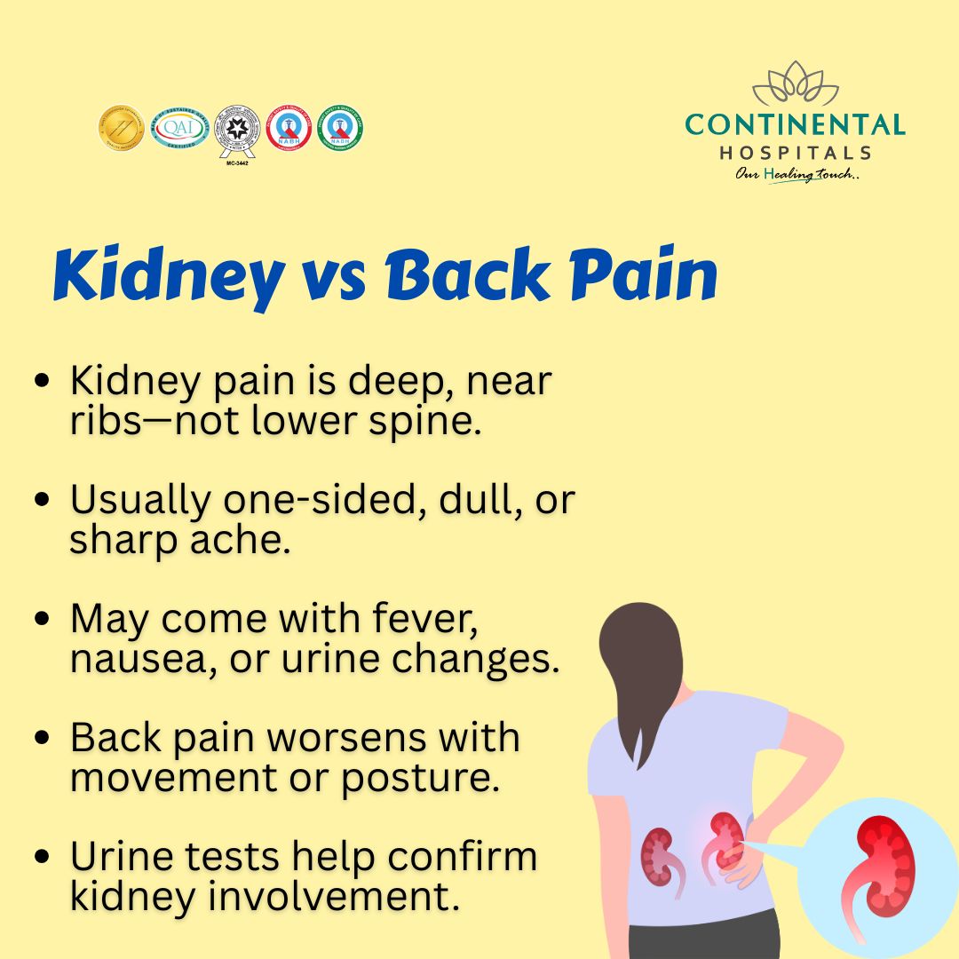 Right Kidney Pain Location