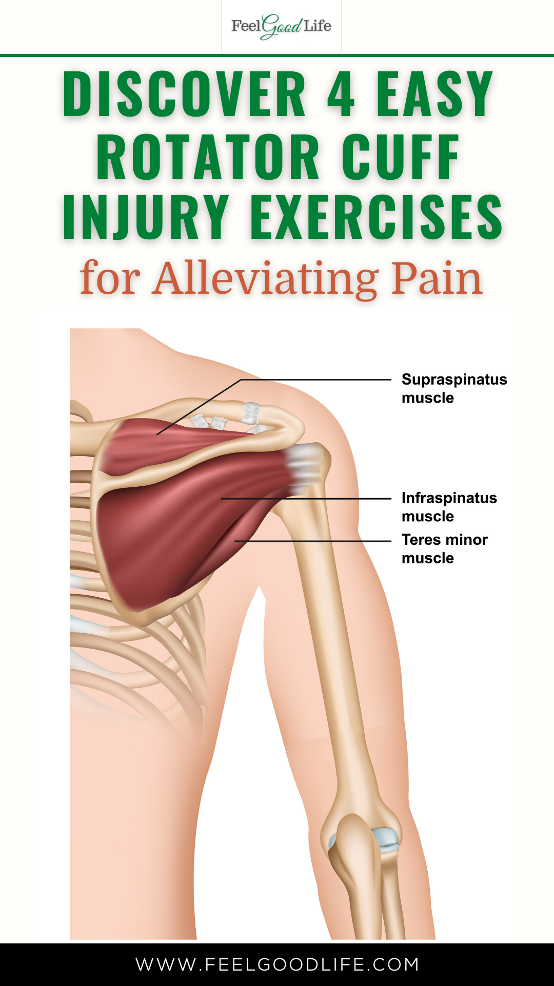 Rotator Cuff Pain Treatment