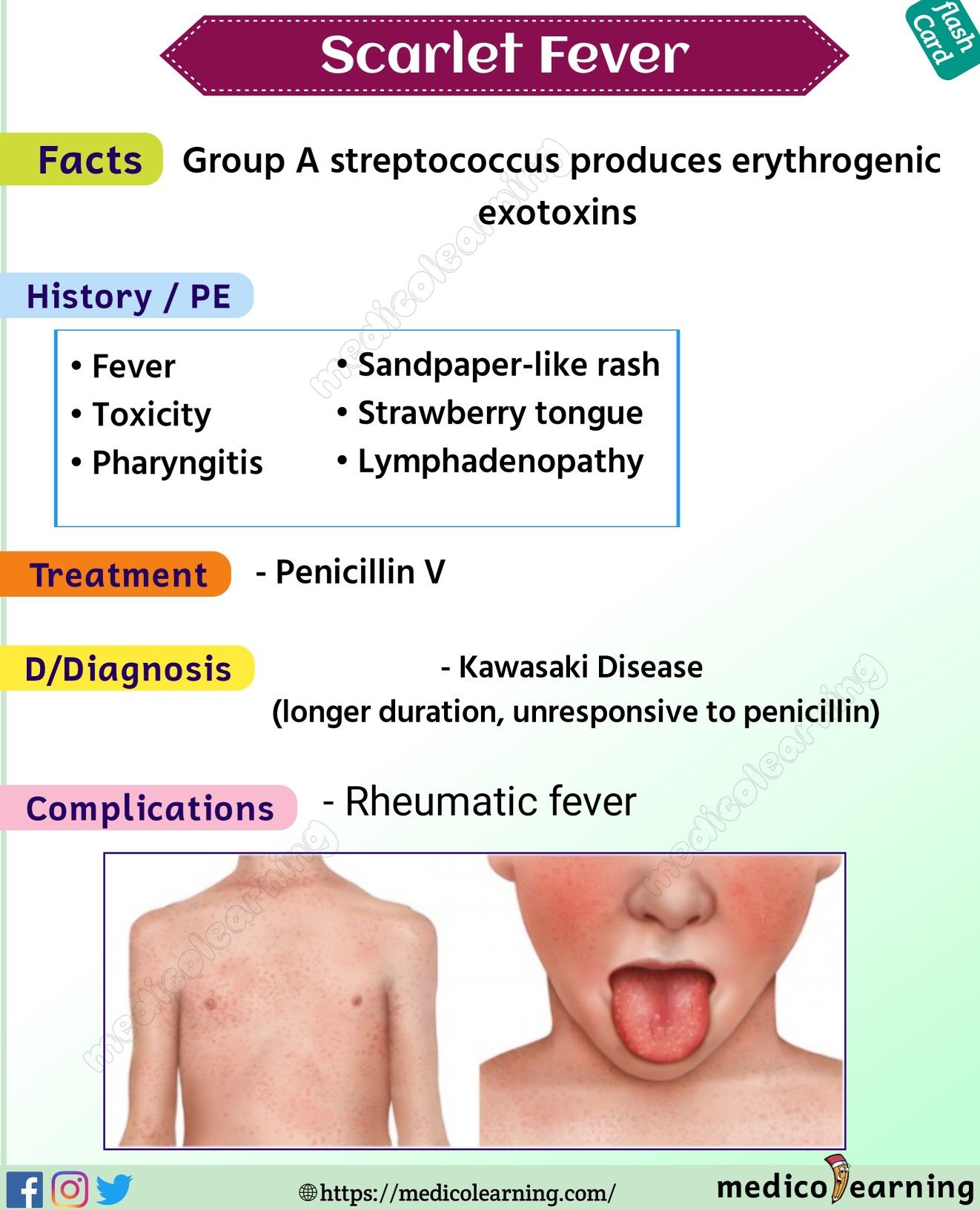 Scarlet Rose Free Onlyfans