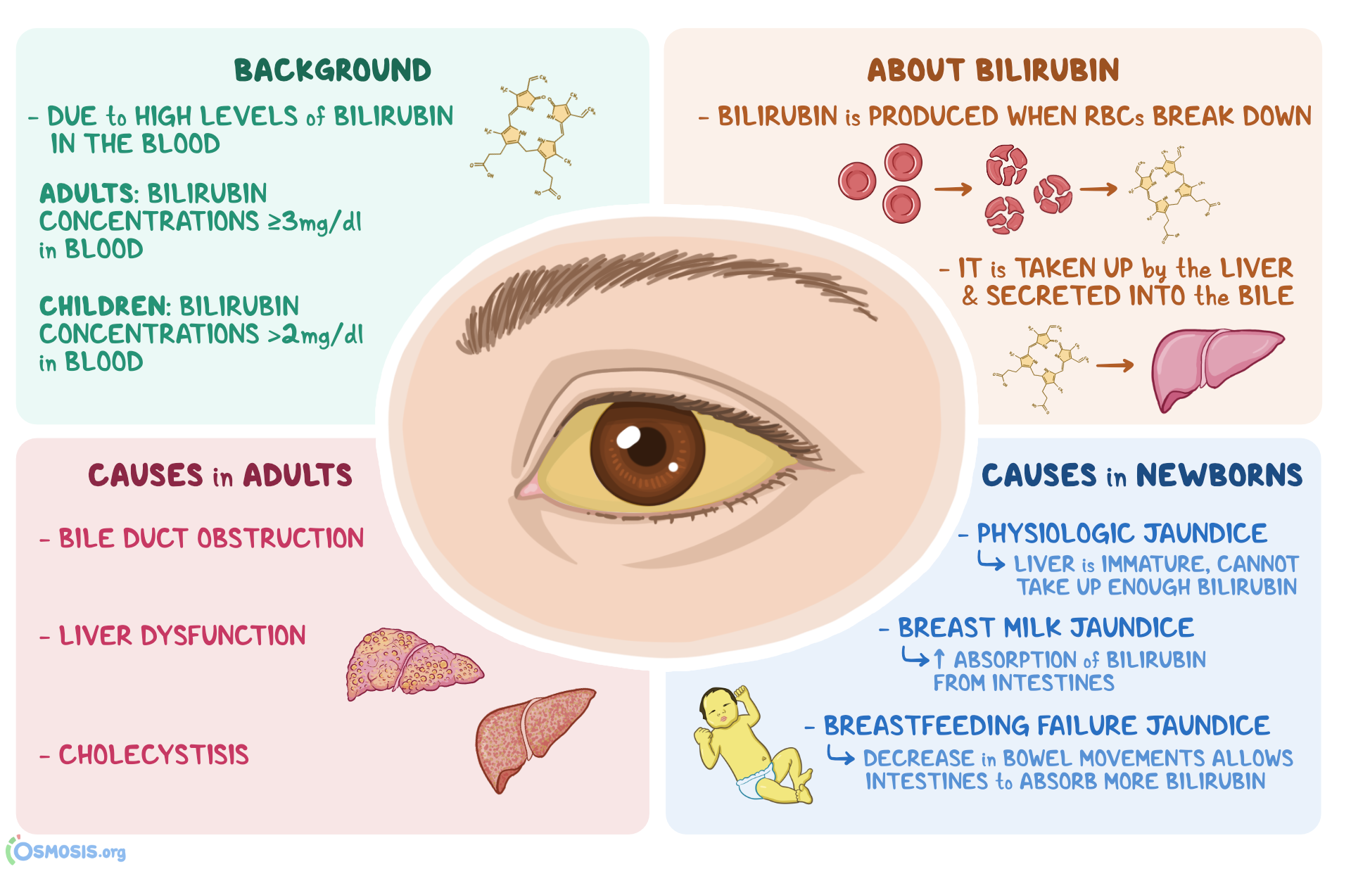 Sclera Are Anicteric