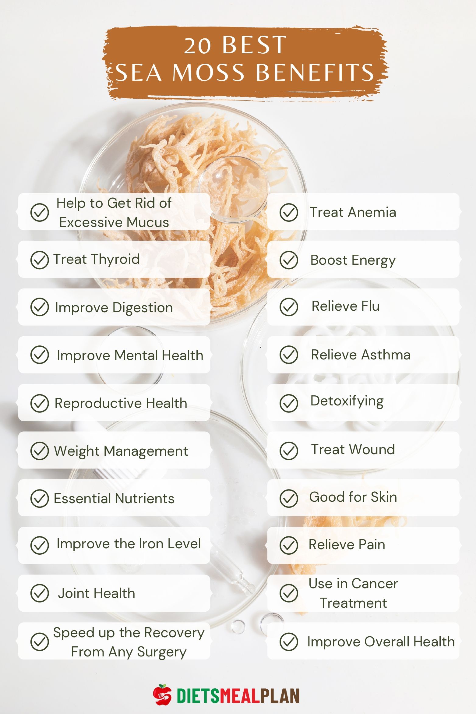 Sea Moss Benefits For Women