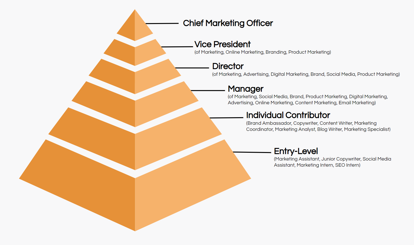 Senior Marketing Job Titles Hierarchy