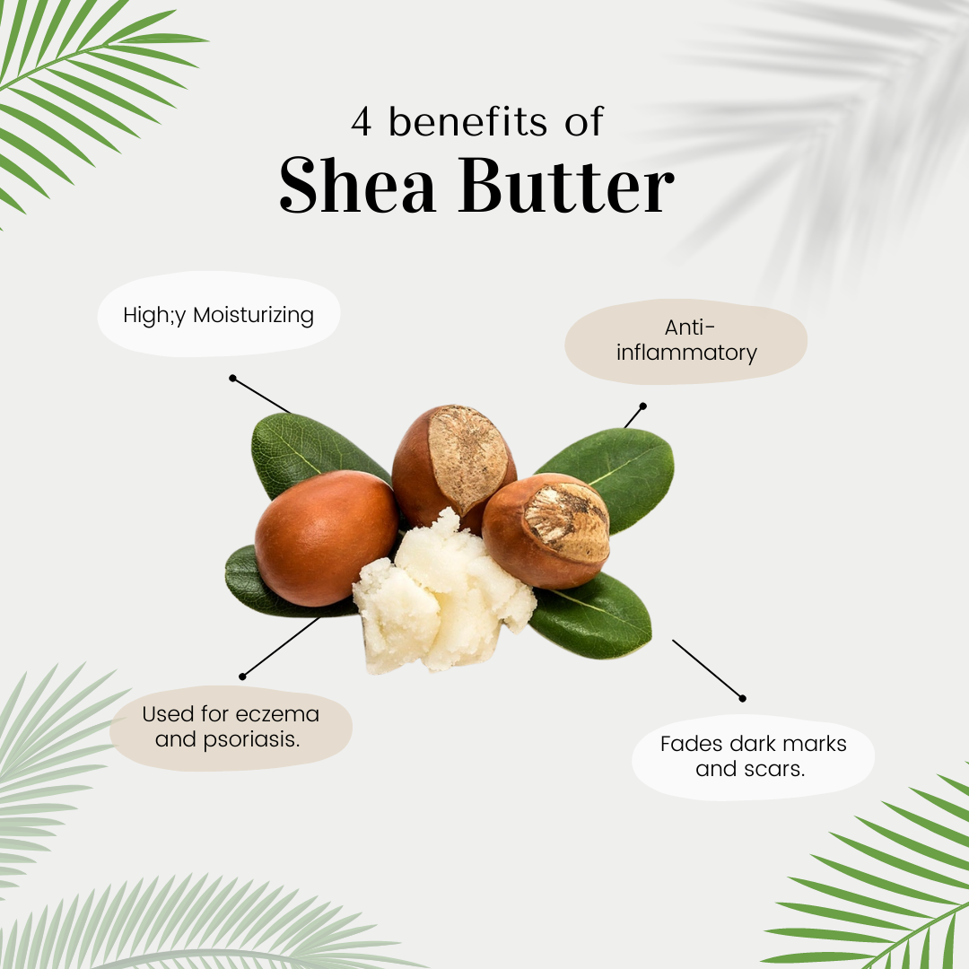 Shea Butter Benefits Ai