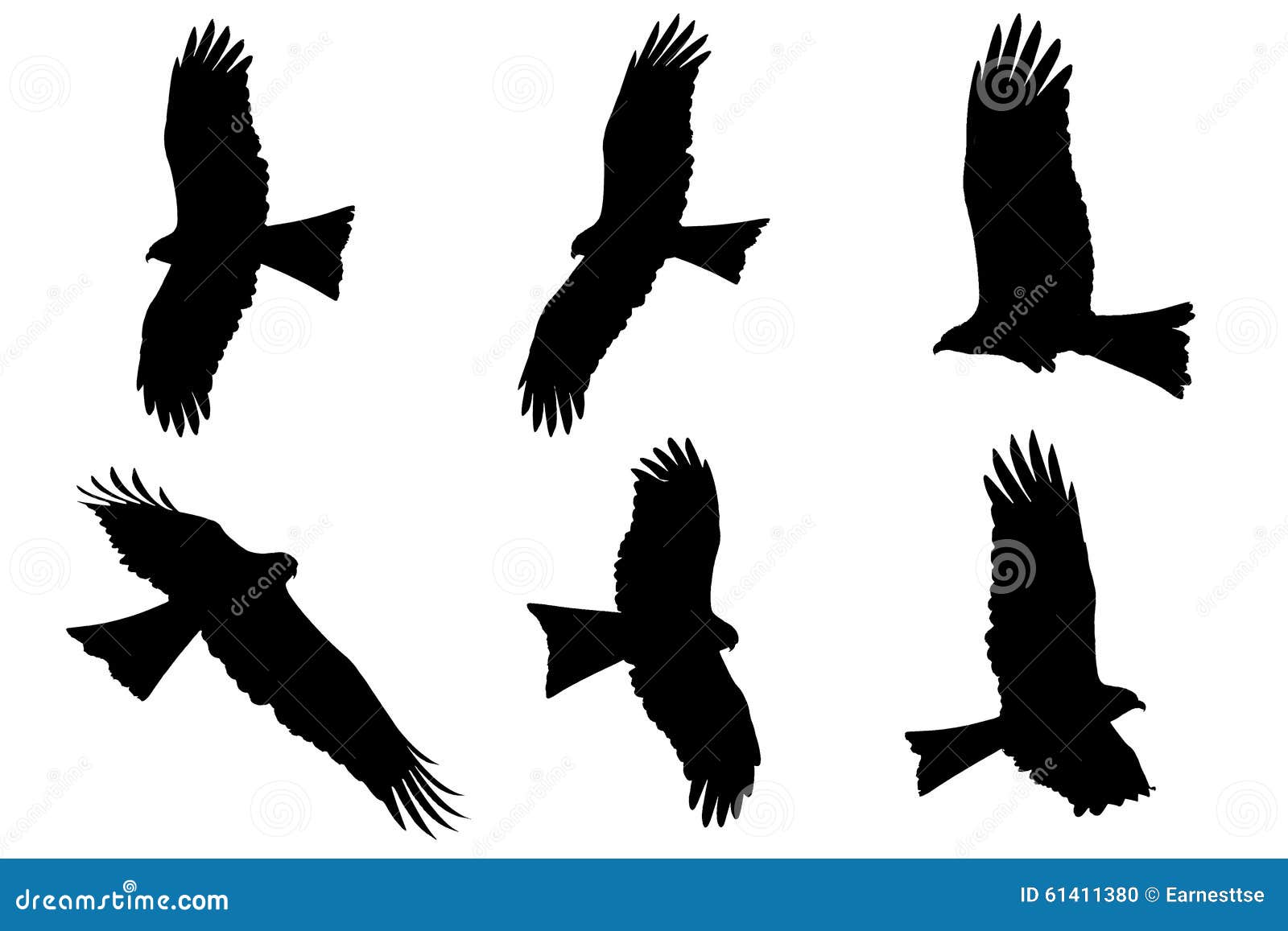 Silhouette Of Eagle