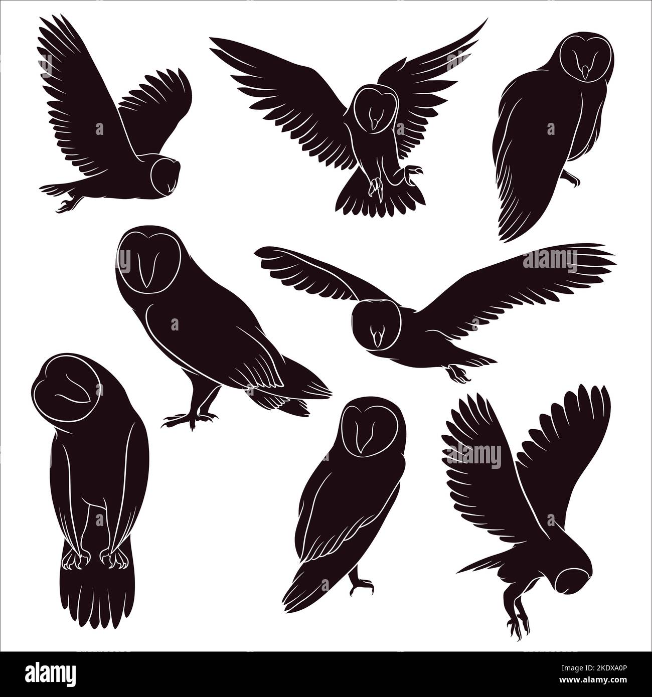 Silhouette Of Owl