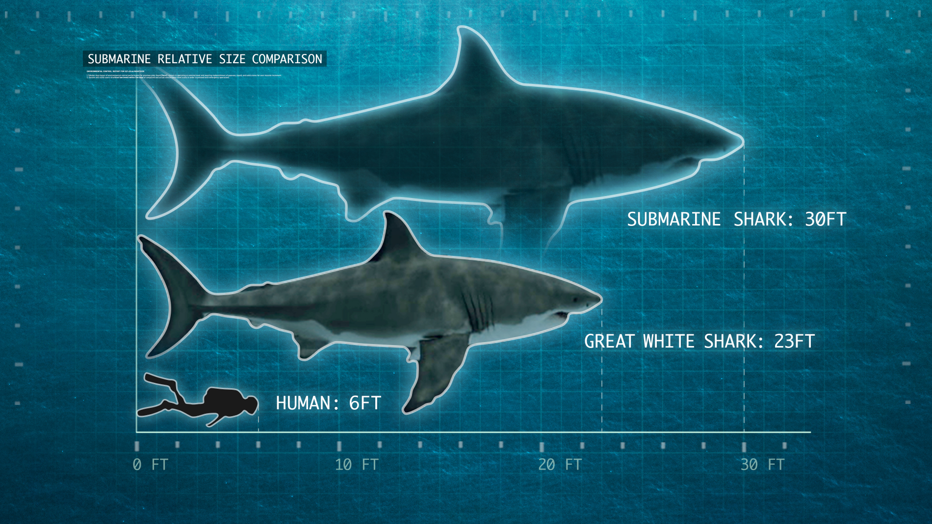 Size Of Megalodon