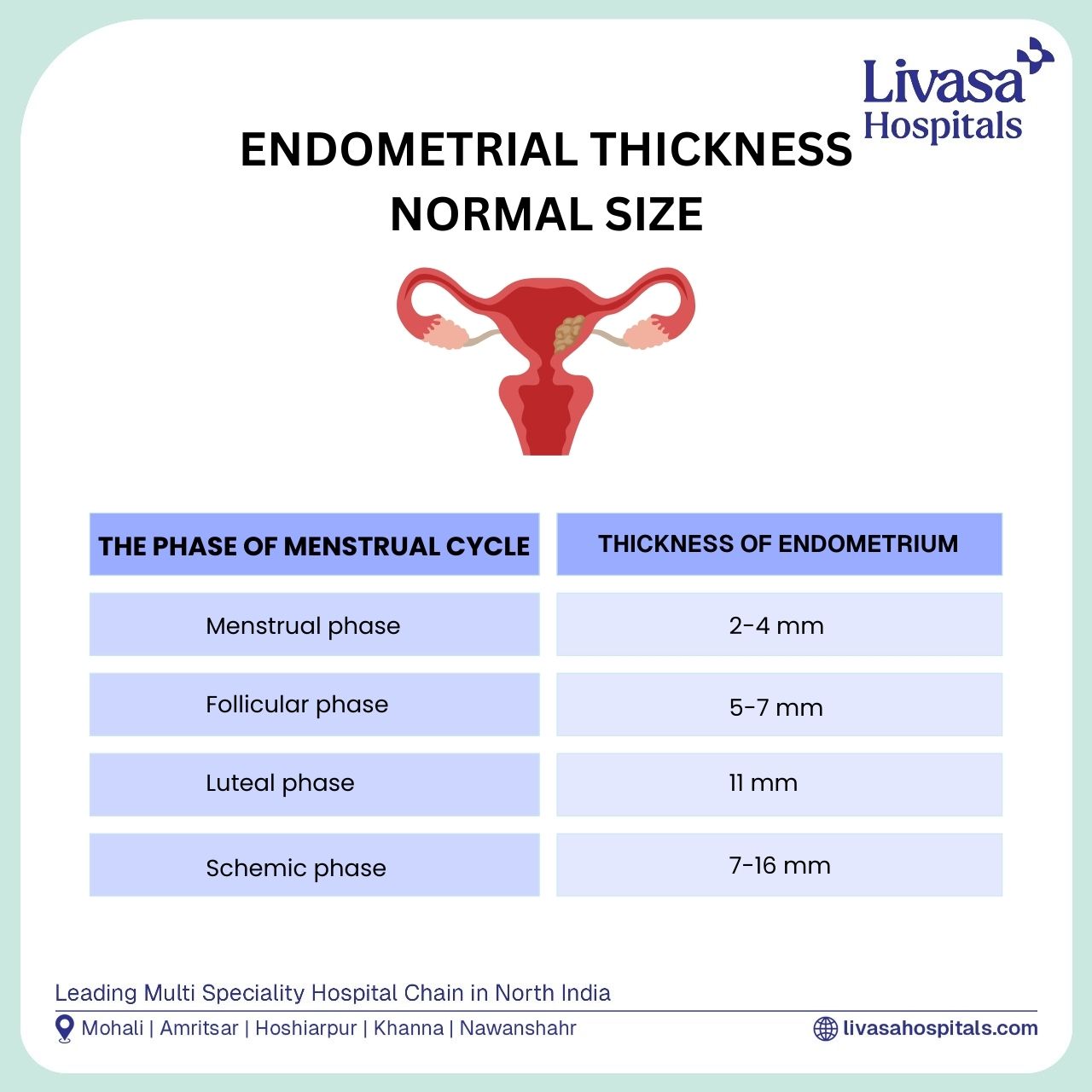 Size Uterus Normal