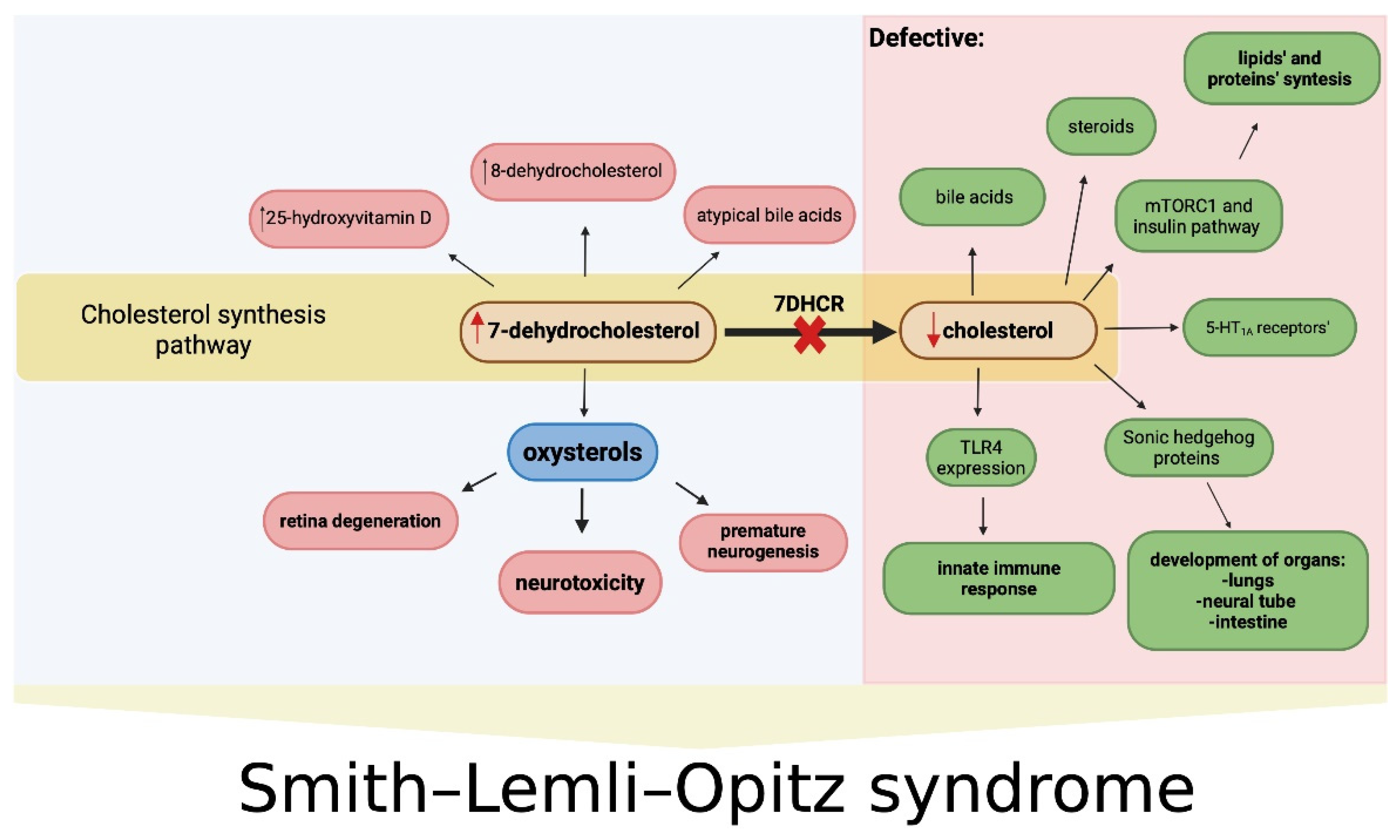 Smith Syndrome Disease
