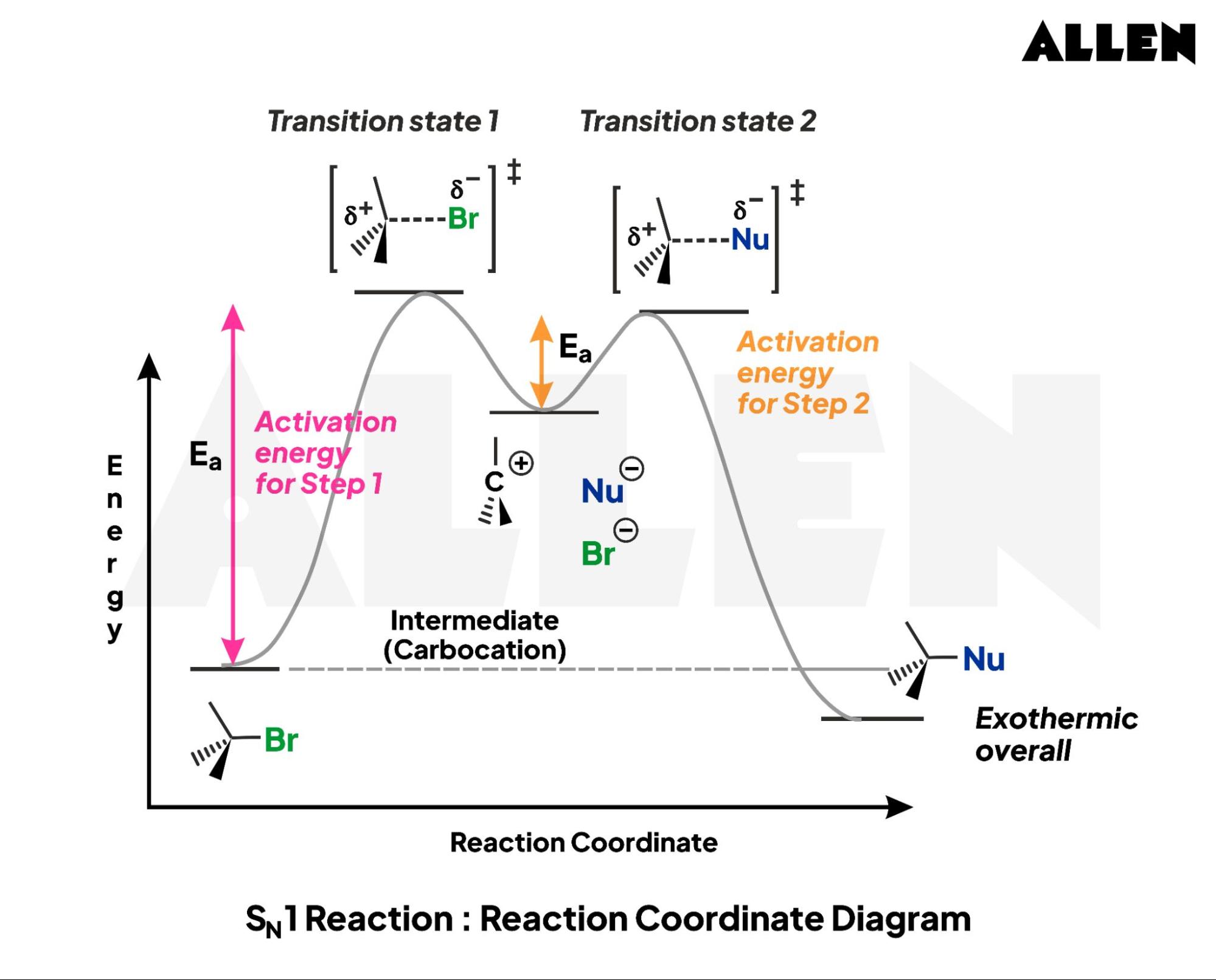Sn1 Reaction Graph