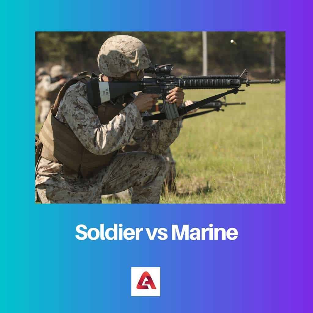 Soldier Vs Marine