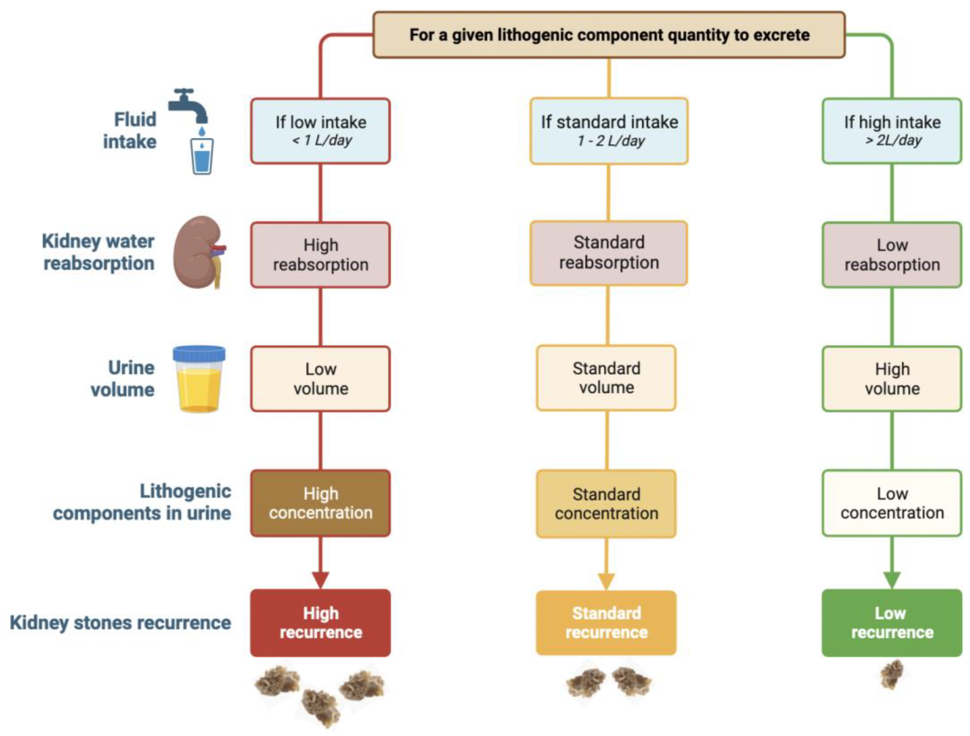 Spec Gravity Of Urine