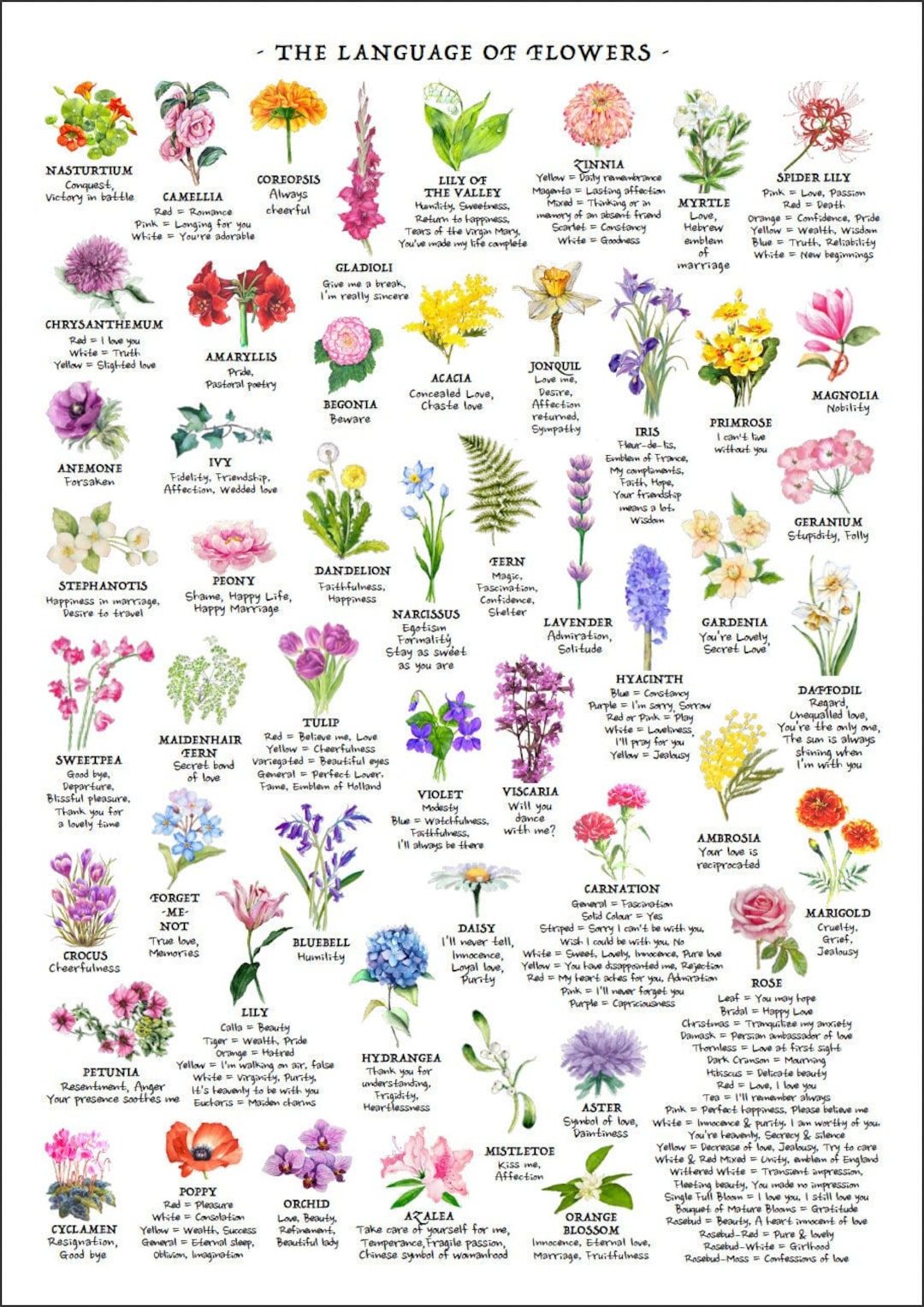 Species Of Flowers