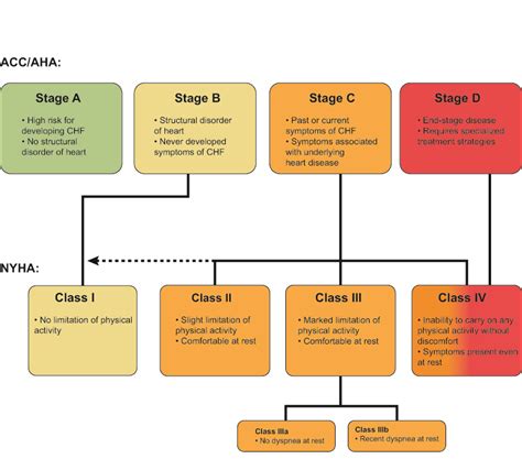 Stage B Heart Failure