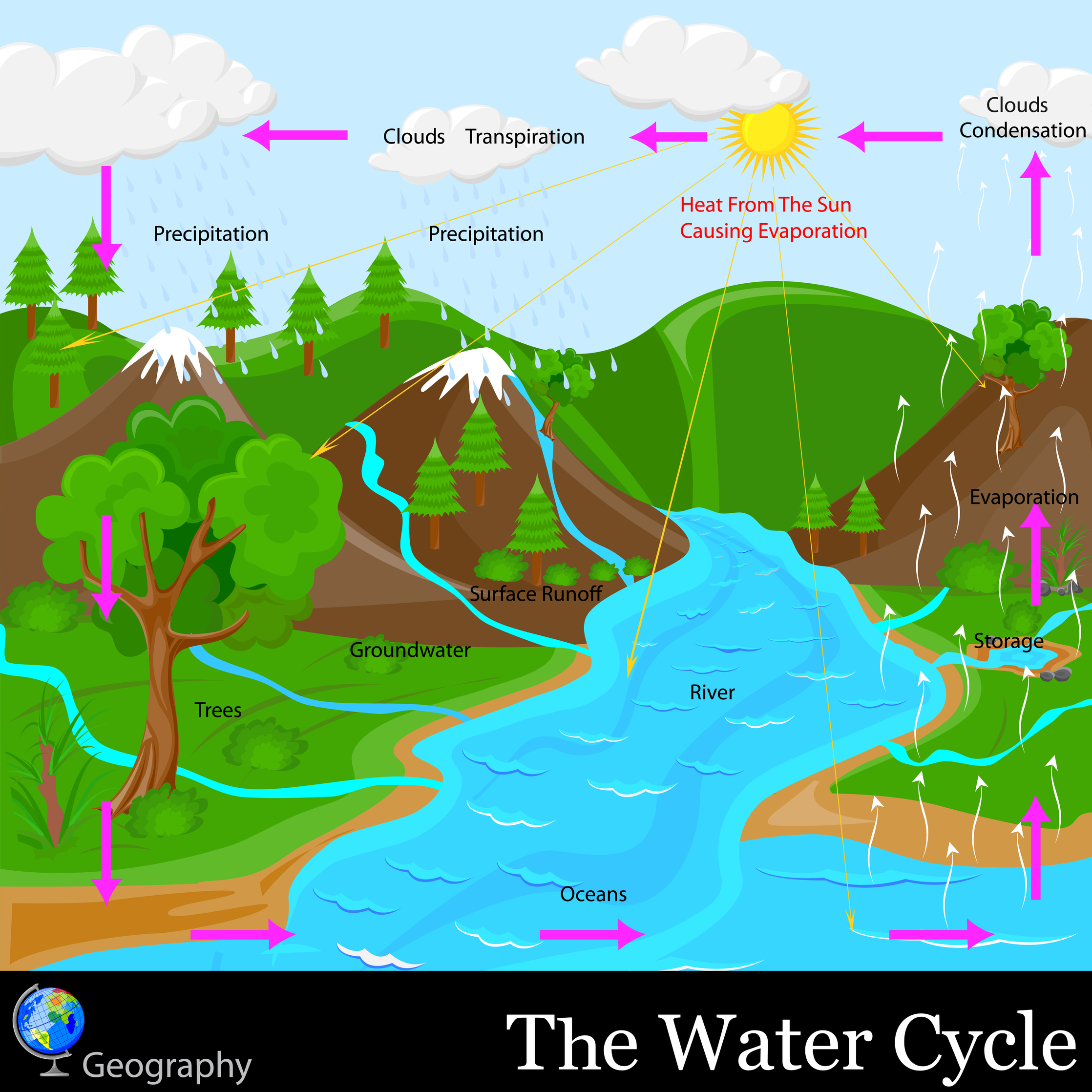 Stages Of Water Cycle