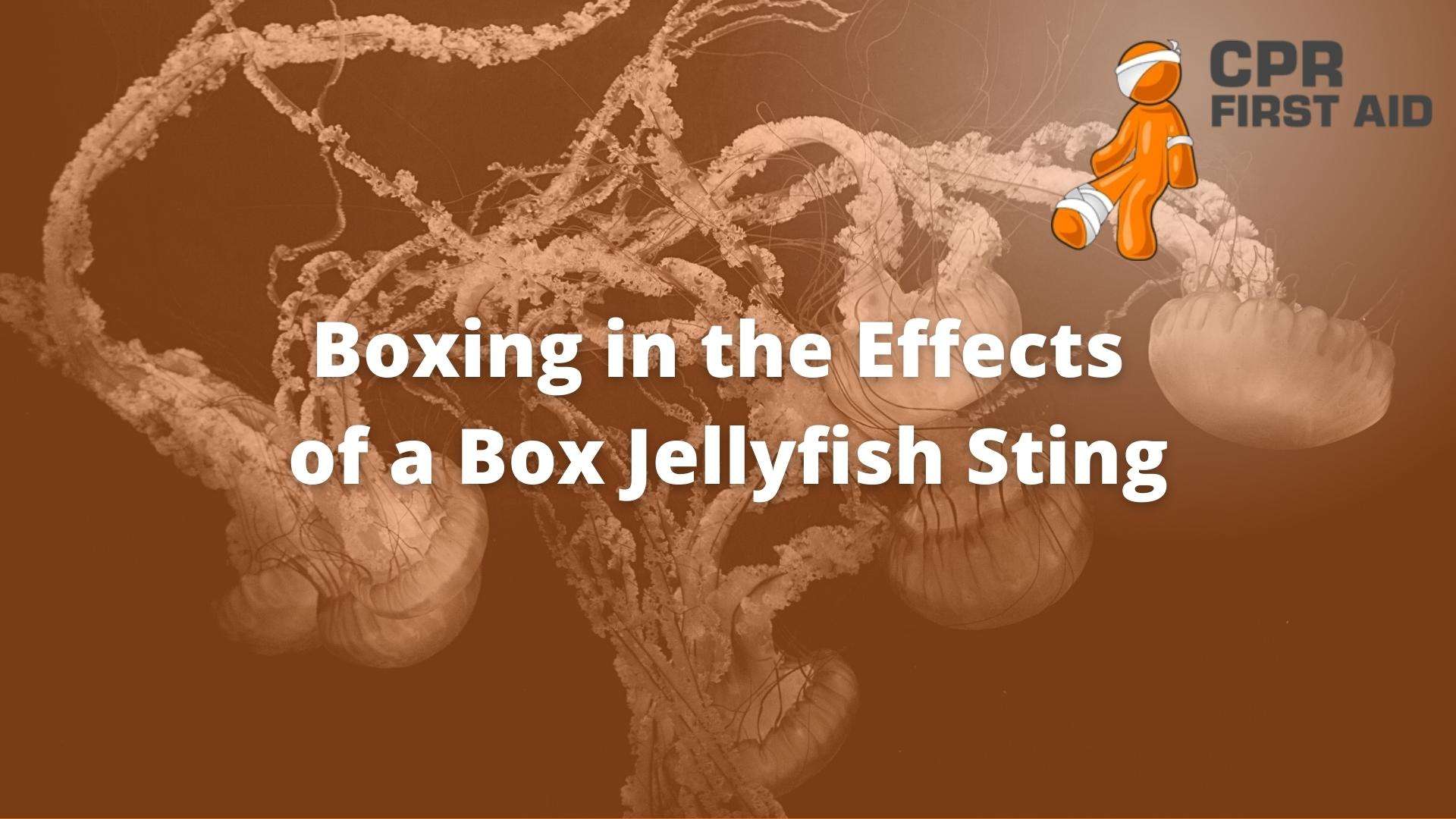 Sting Of Box Jellyfish