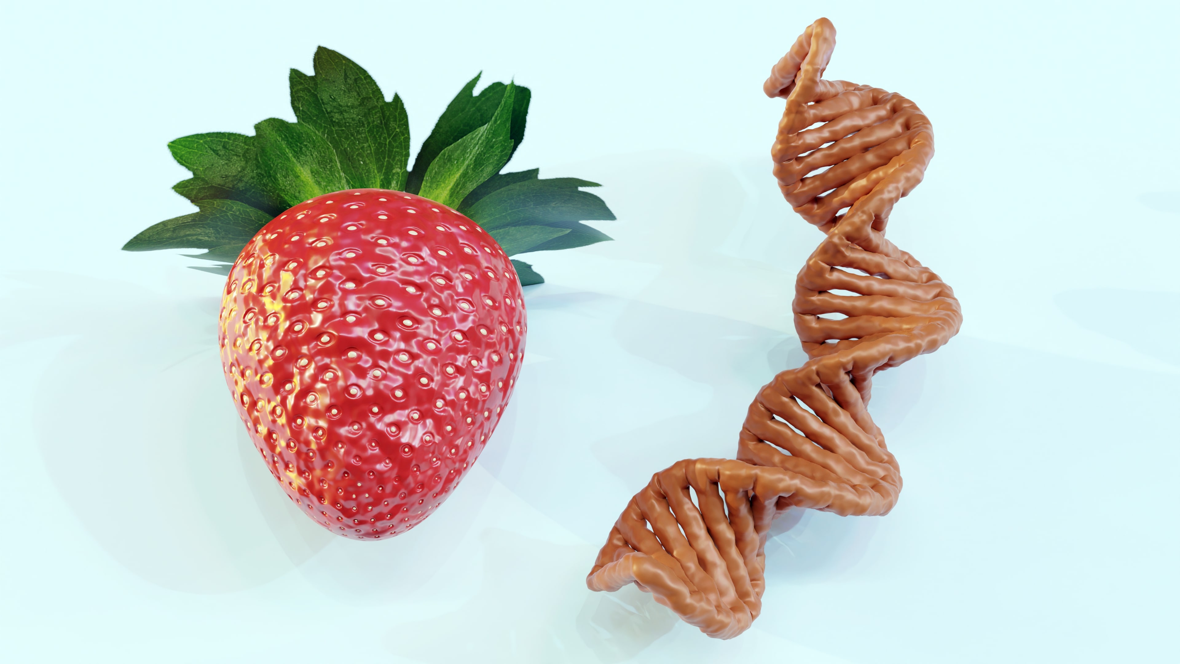 Strawberries And Dna