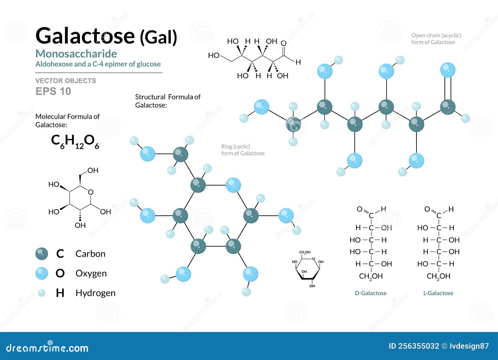 Structure Of Galactose