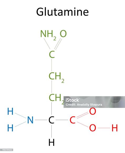 Structure Of Glutamine