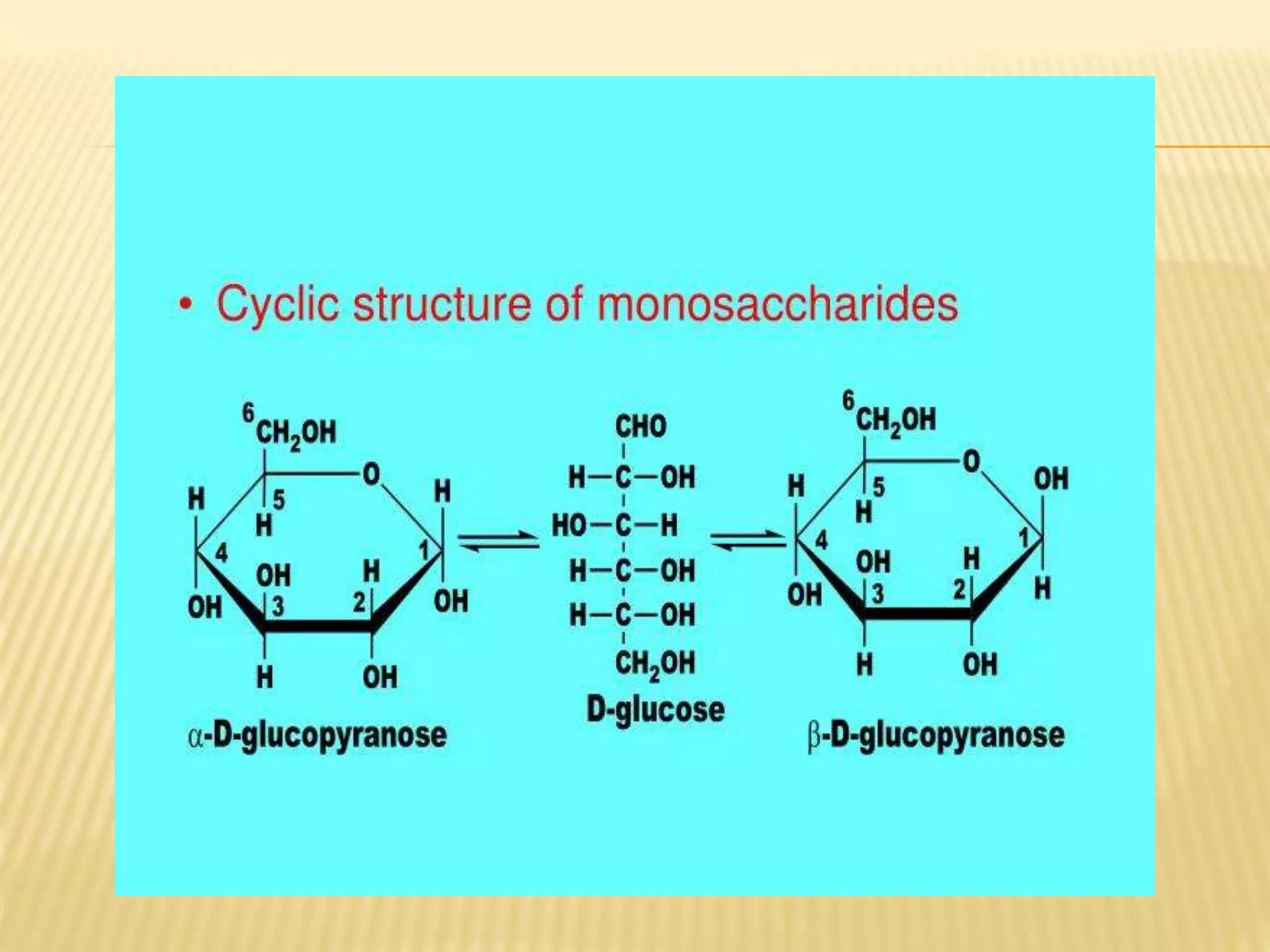 Structure Of Monosaccharides