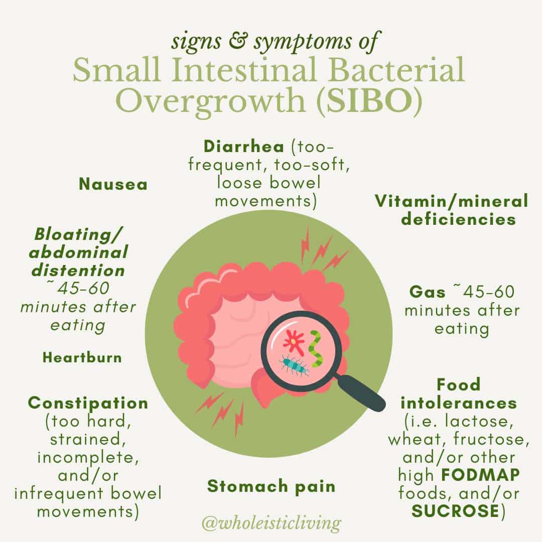 Symptoms Of Sibo