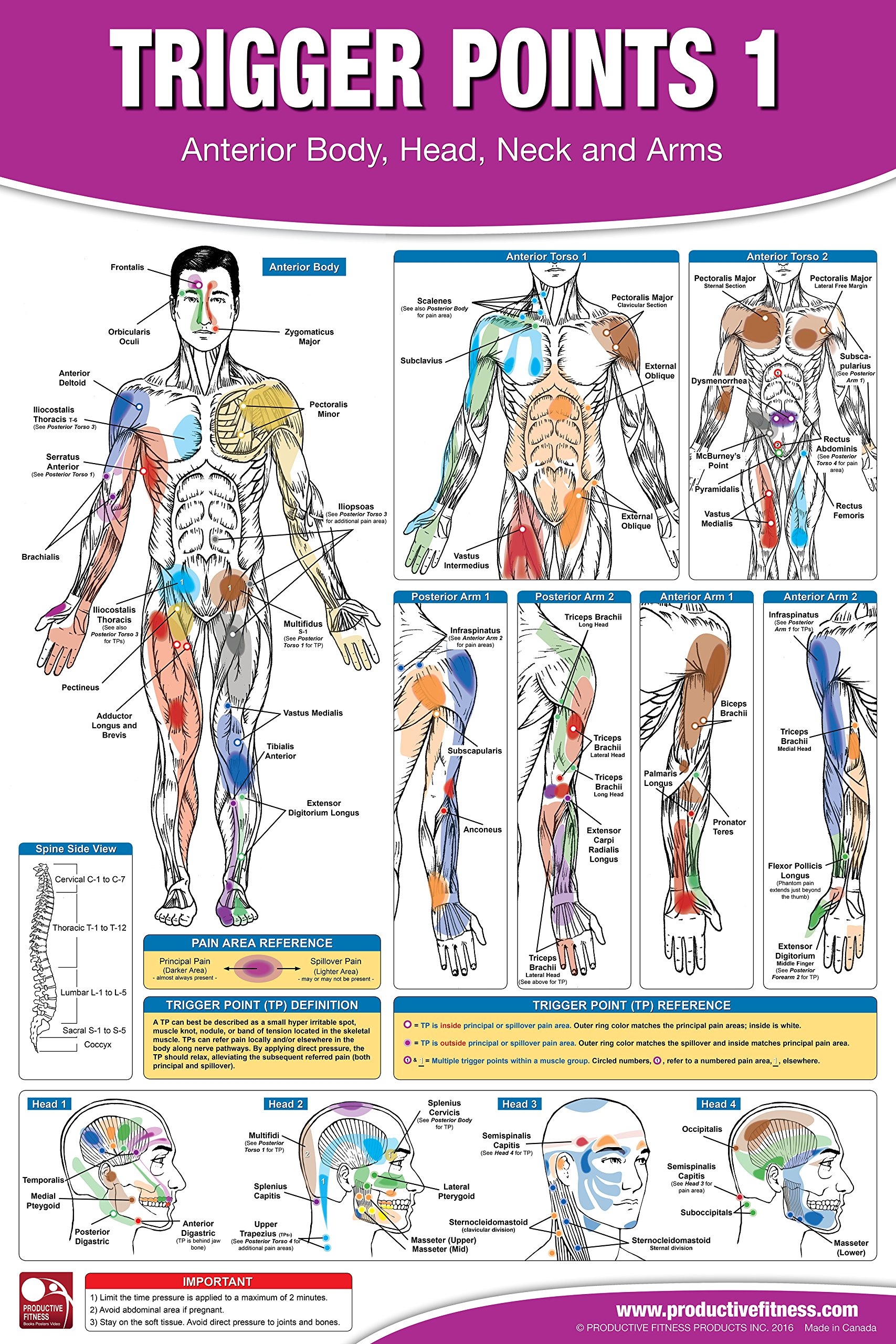 T11 Trigger Point