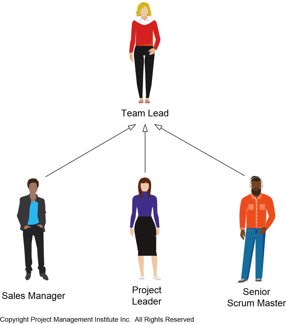 Team Lead Responsibilities