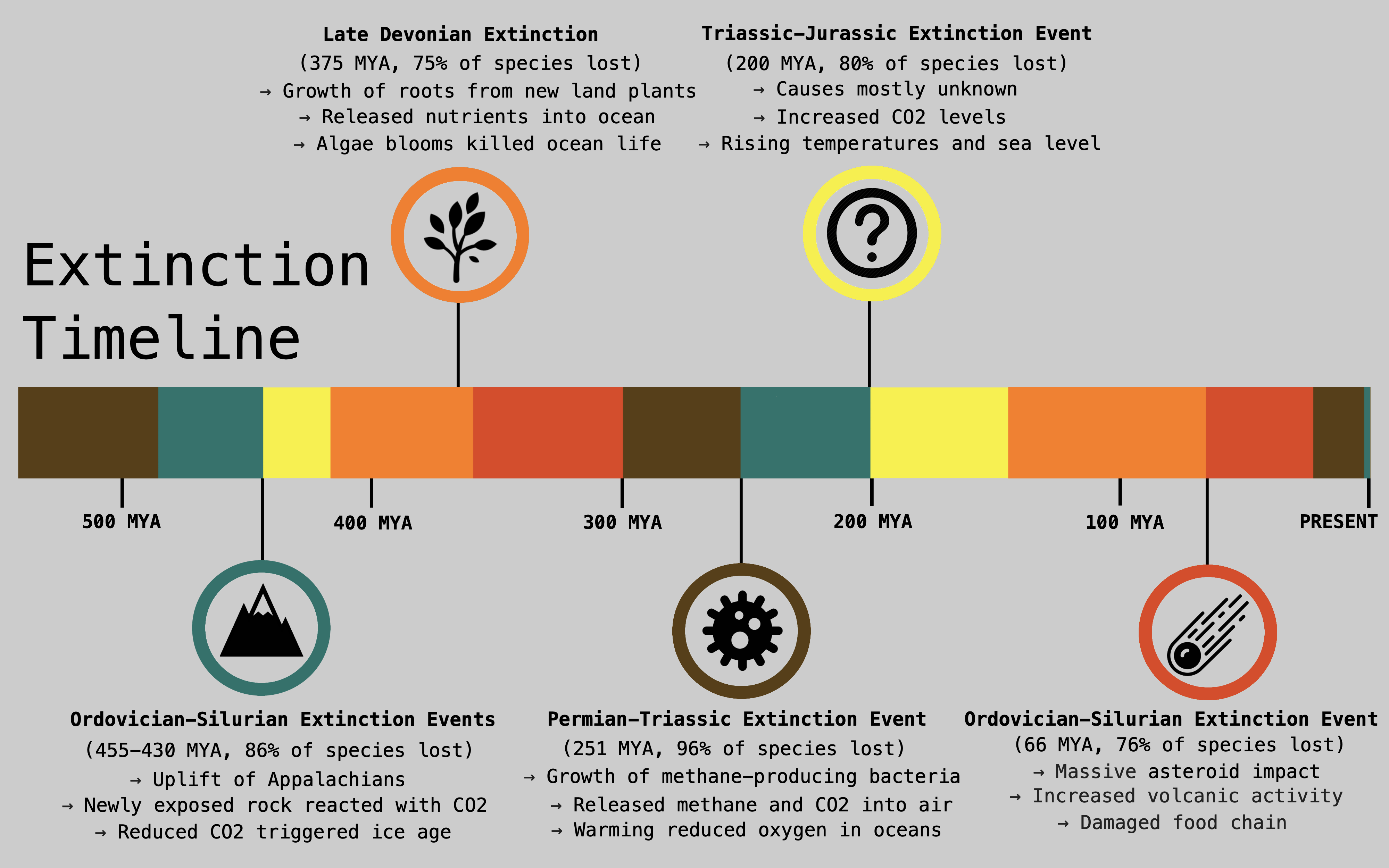 The Stages Of Extinion